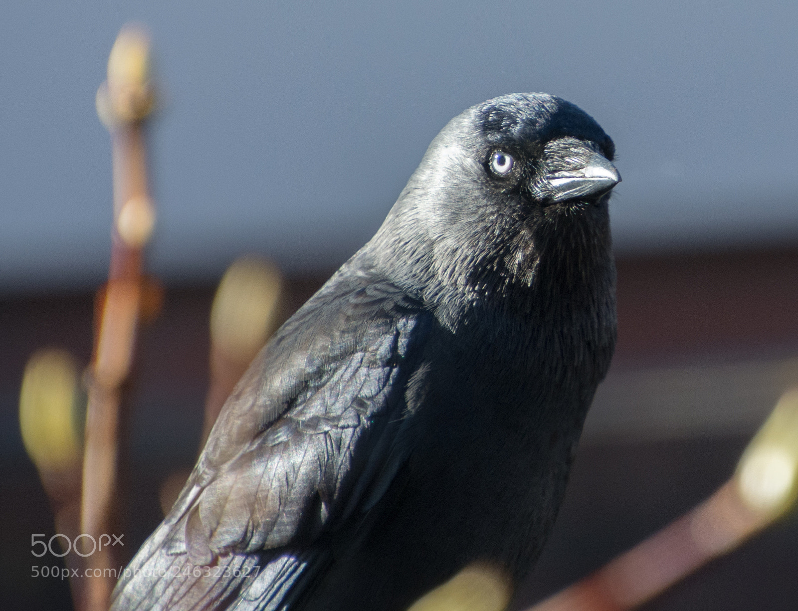 Nikon D7100 sample photo. Got my eye on photography