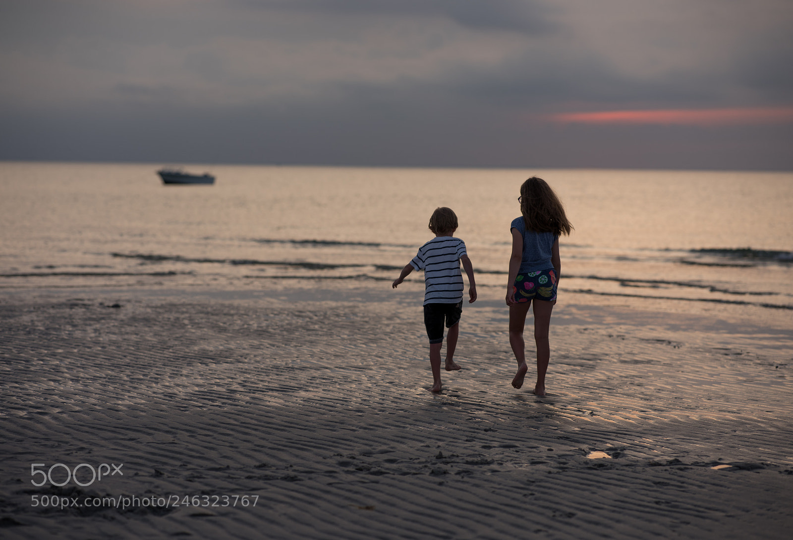 Nikon D810 sample photo. To walk double photography