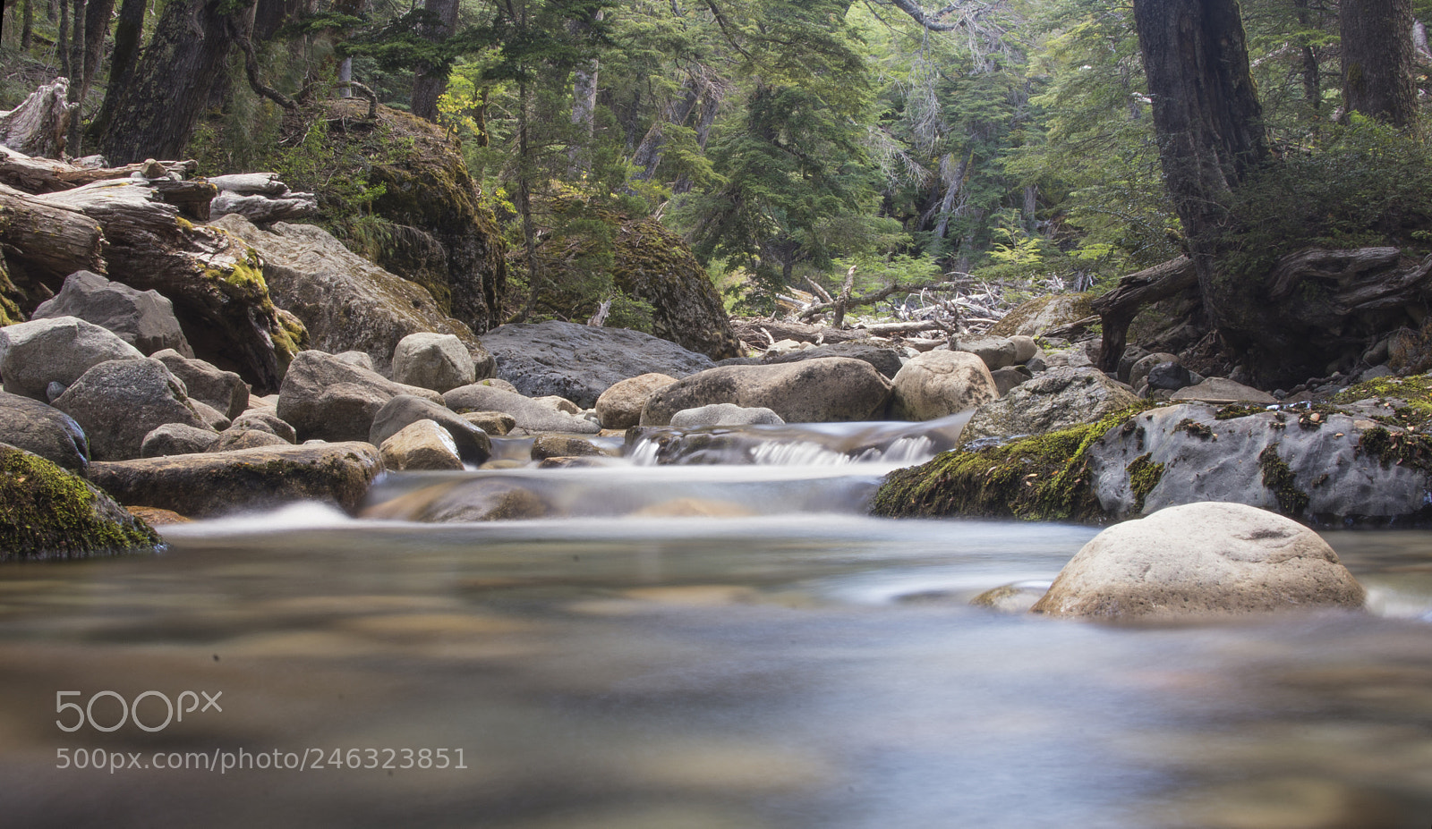 Nikon D7200 sample photo. Argentina bariloche photography