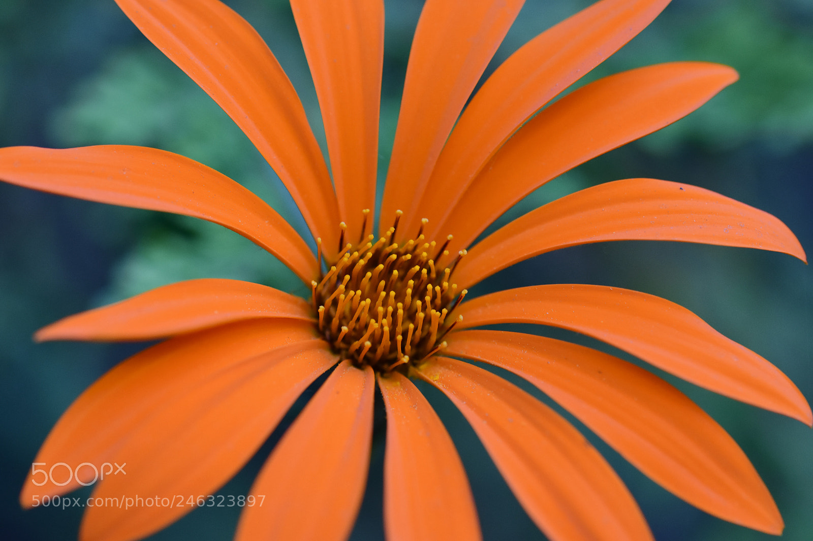Nikon D7200 sample photo. Argentina bariloche photography