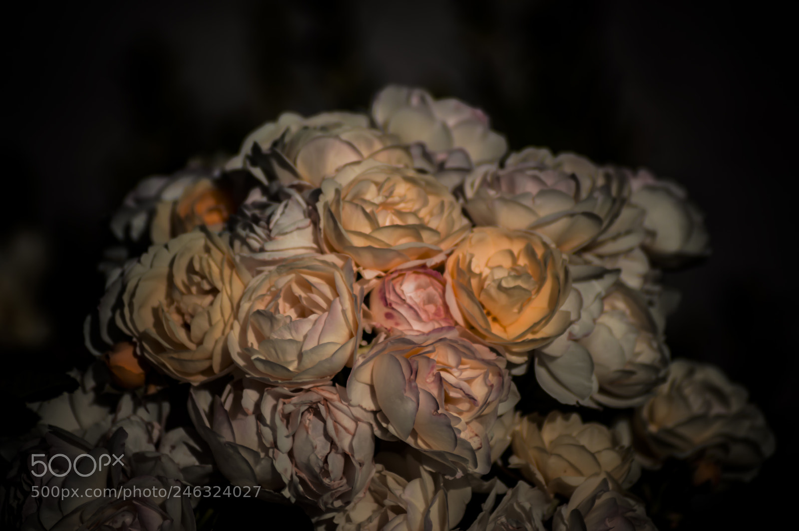 Nikon D3200 sample photo. Flores photography
