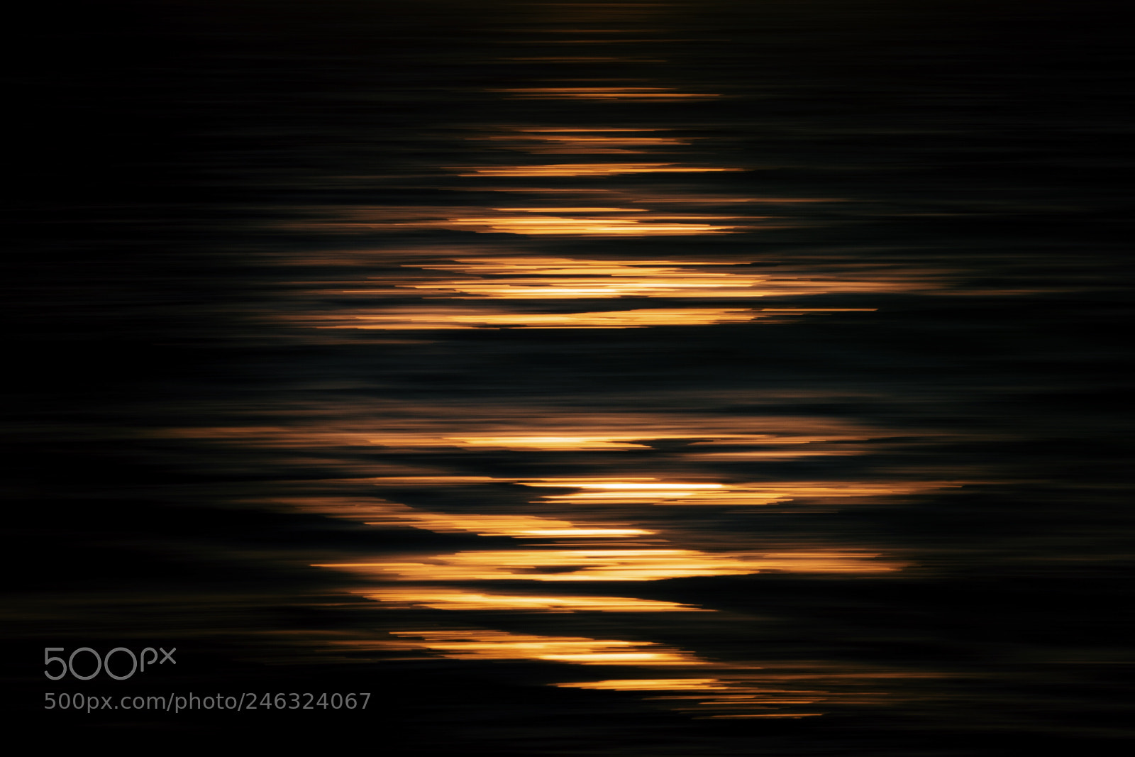 Sony a7R II sample photo. "black gold" photography