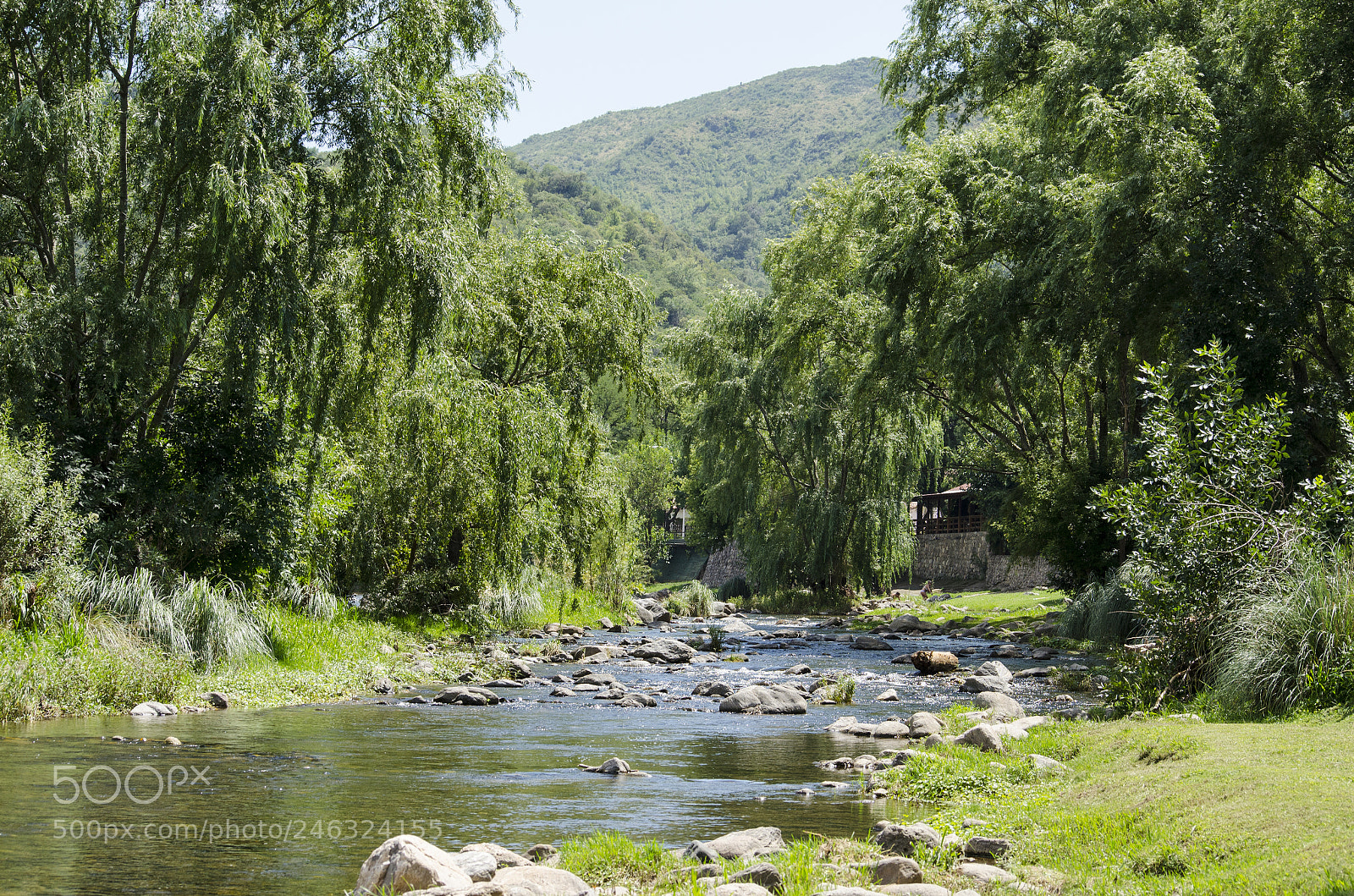 Nikon D5100 sample photo. R o en santa photography