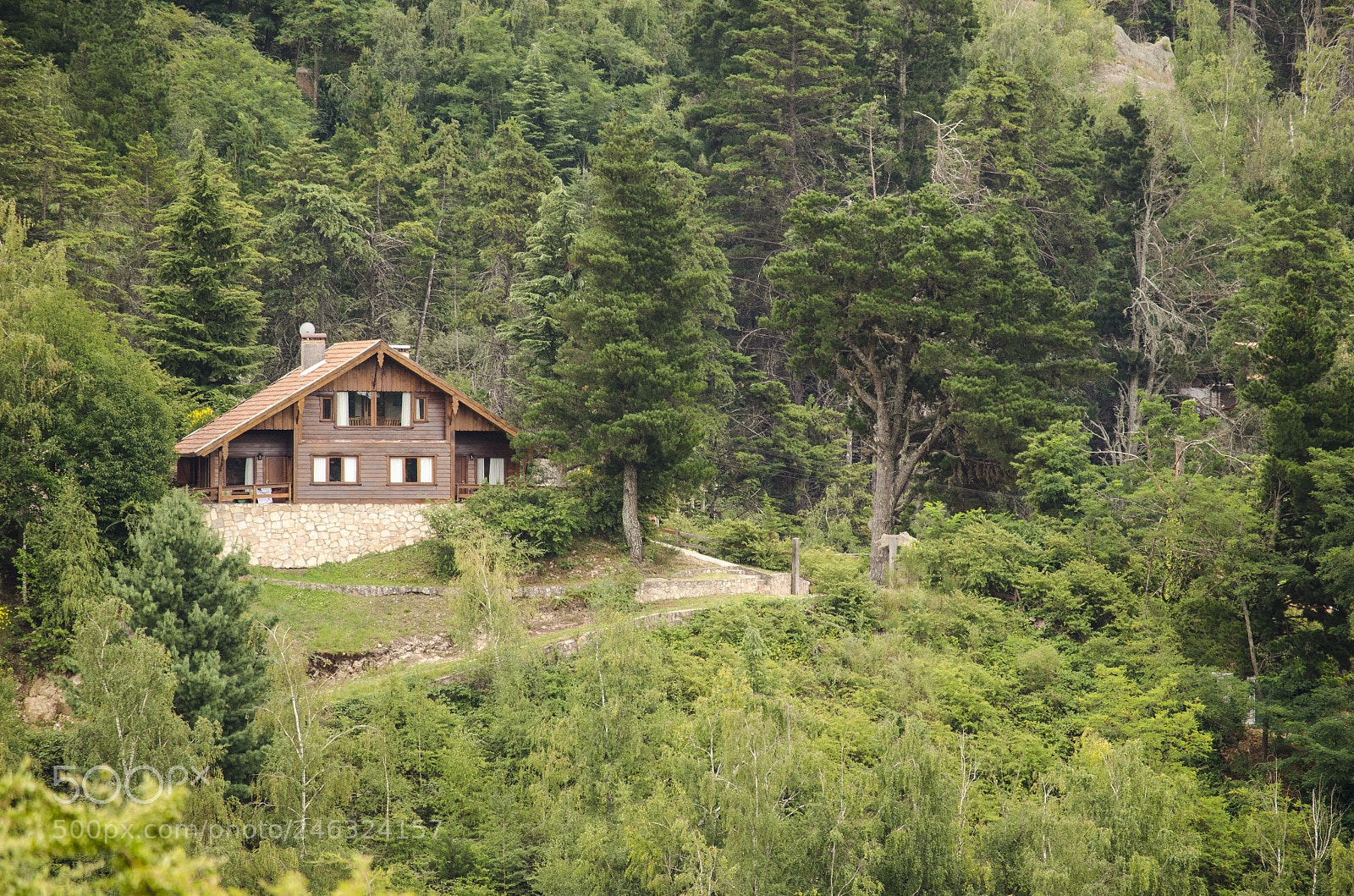 Nikon D5100 sample photo. Casa entre pinos photography