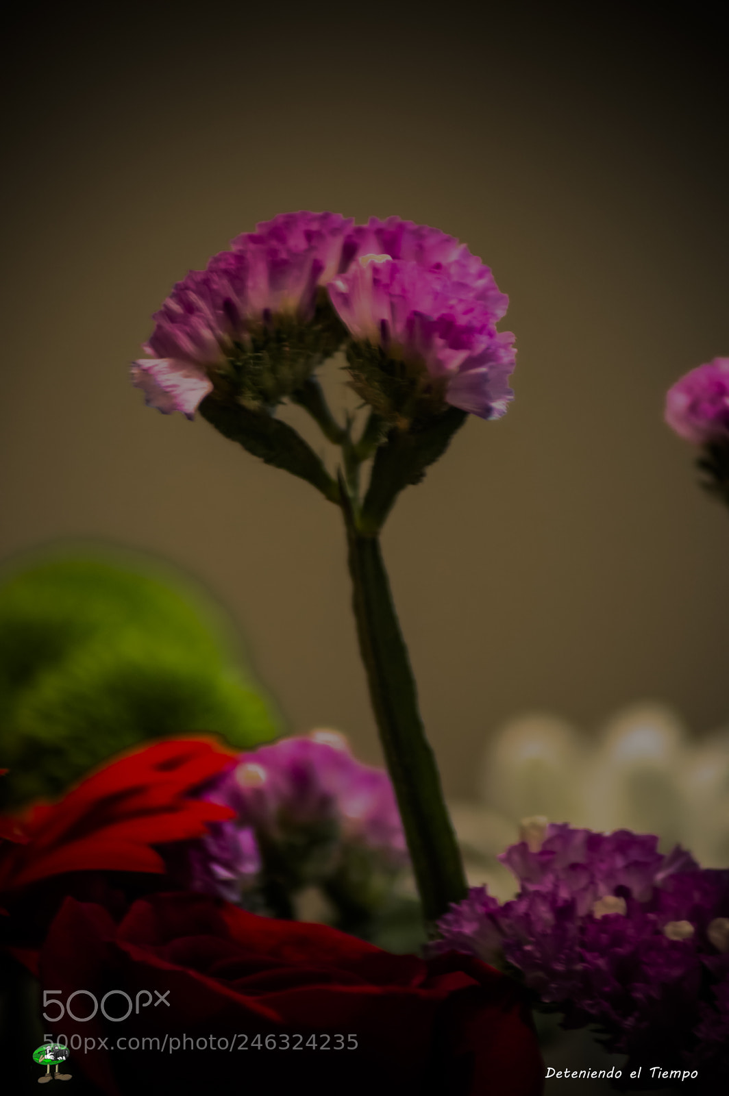 Nikon D3200 sample photo. Flores photography