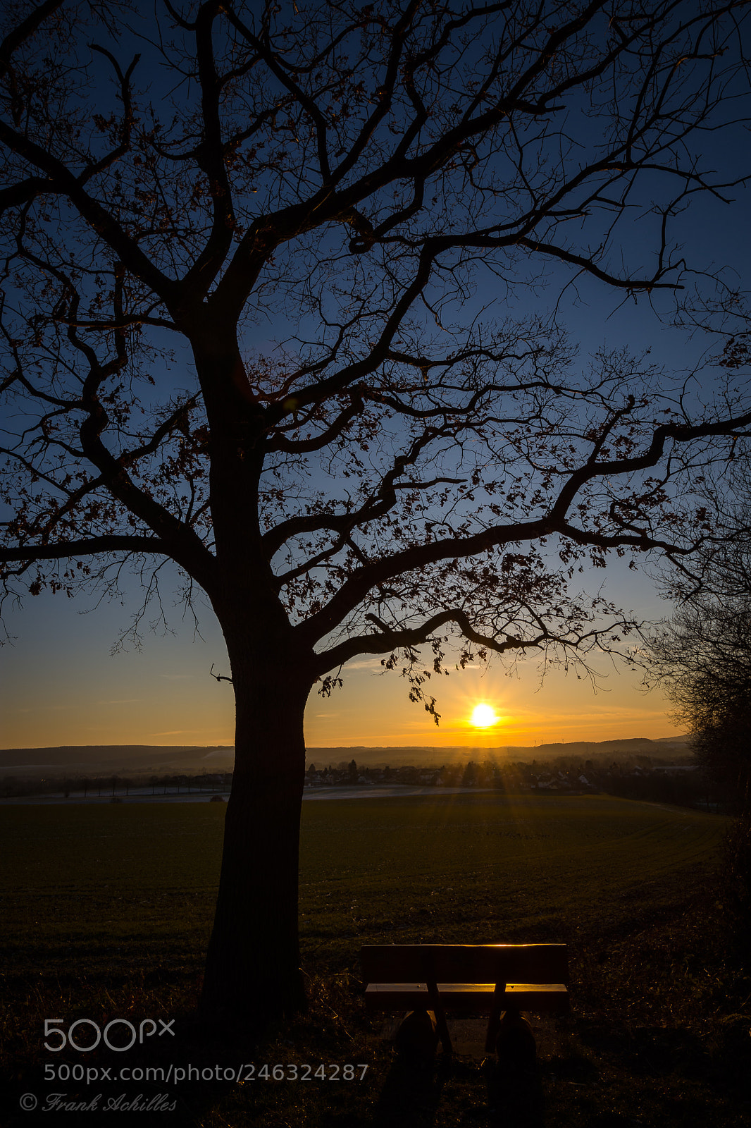 Nikon D7200 sample photo. Carpe diem photography