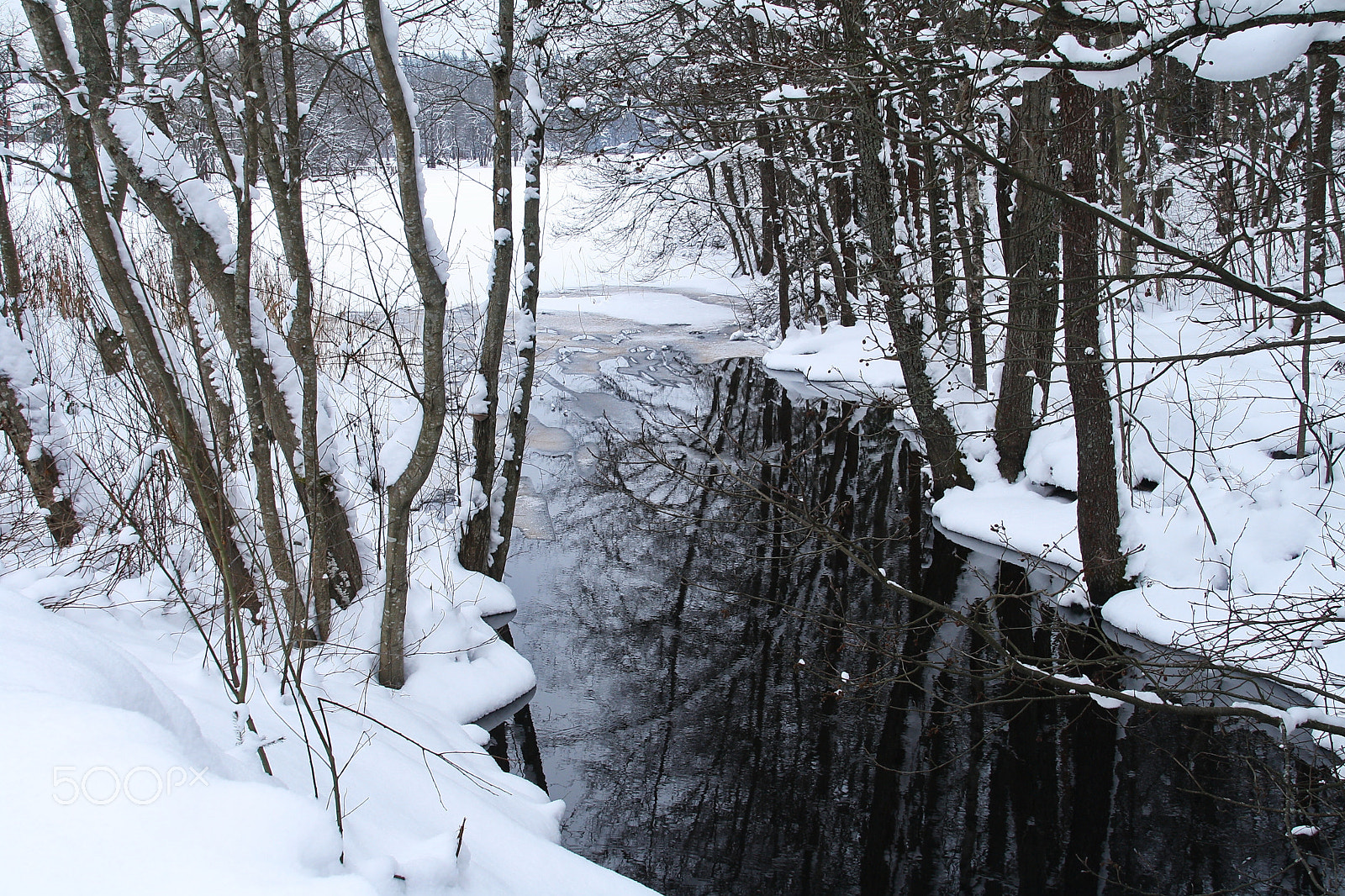 Canon EOS 1000D (EOS Digital Rebel XS / EOS Kiss F) sample photo. Reflection in an ice-free stream photography