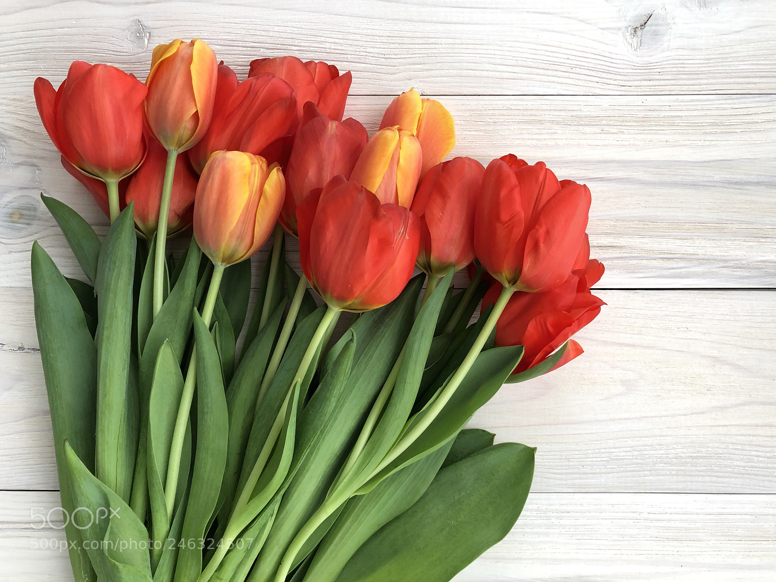 Apple iPhone 8 sample photo. Spring flowers. bouquet of photography