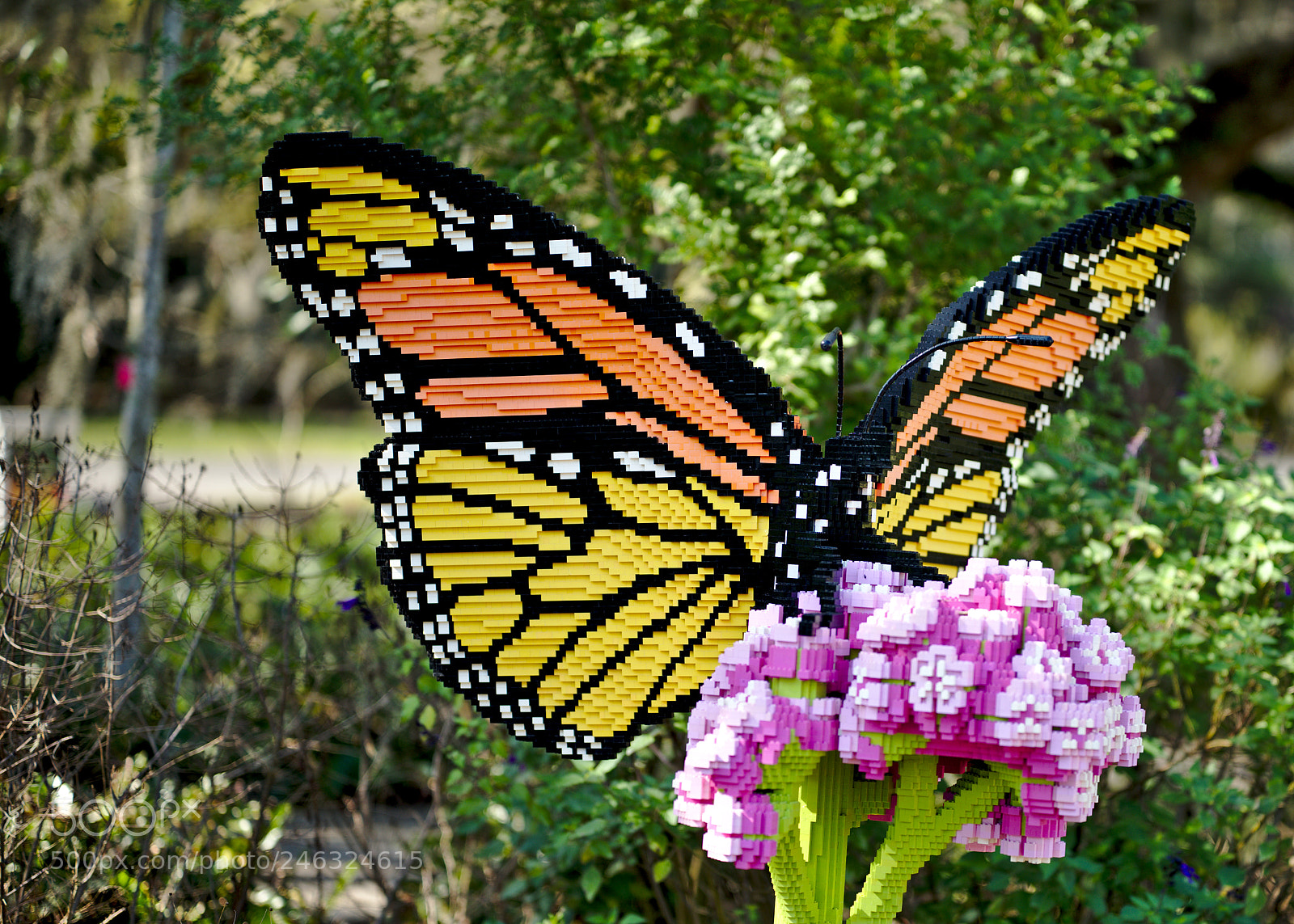 Nikon D810 sample photo. A lego monarch butterfly photography