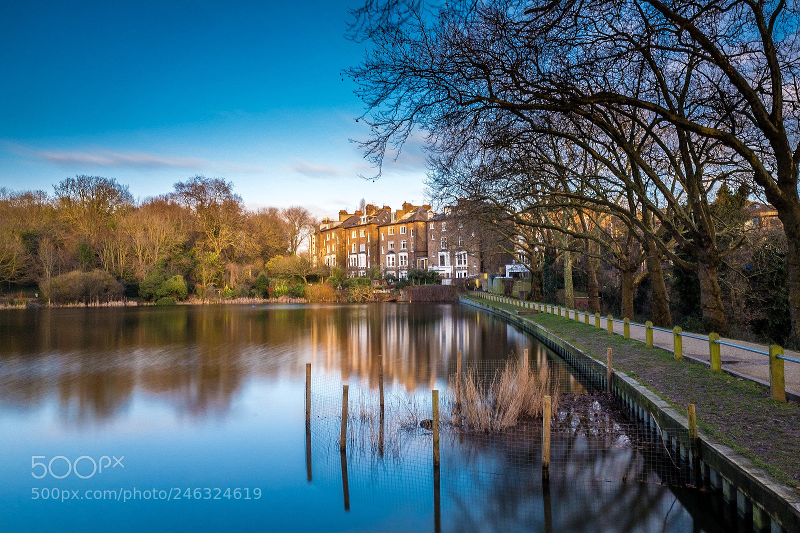 Leica Q (Typ 116) sample photo. A london garden. hamstead photography