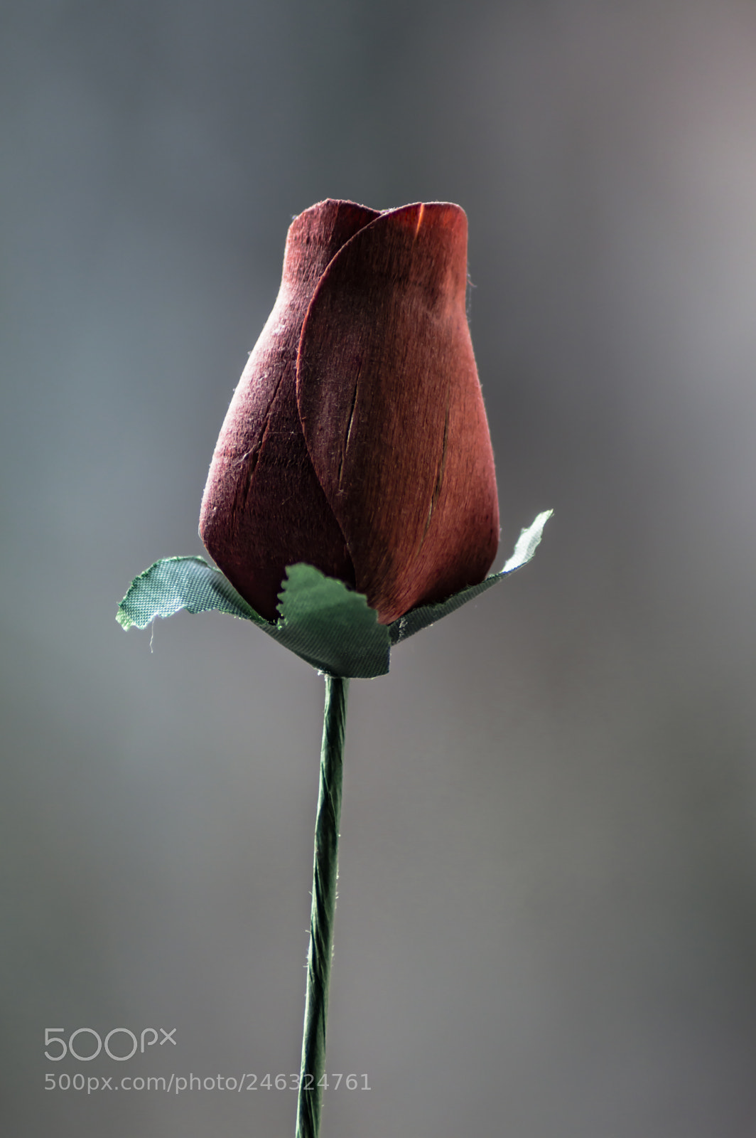 Nikon D3200 sample photo. Flores photography