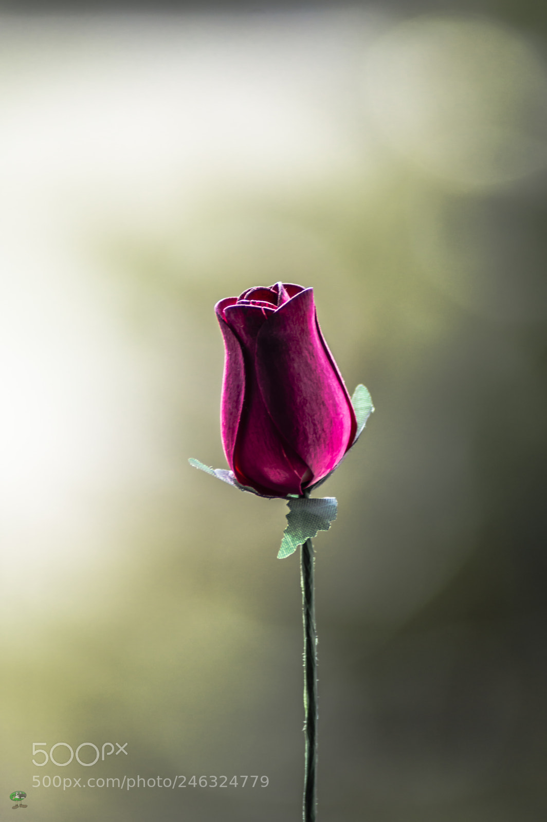 Nikon D3200 sample photo. Flores photography