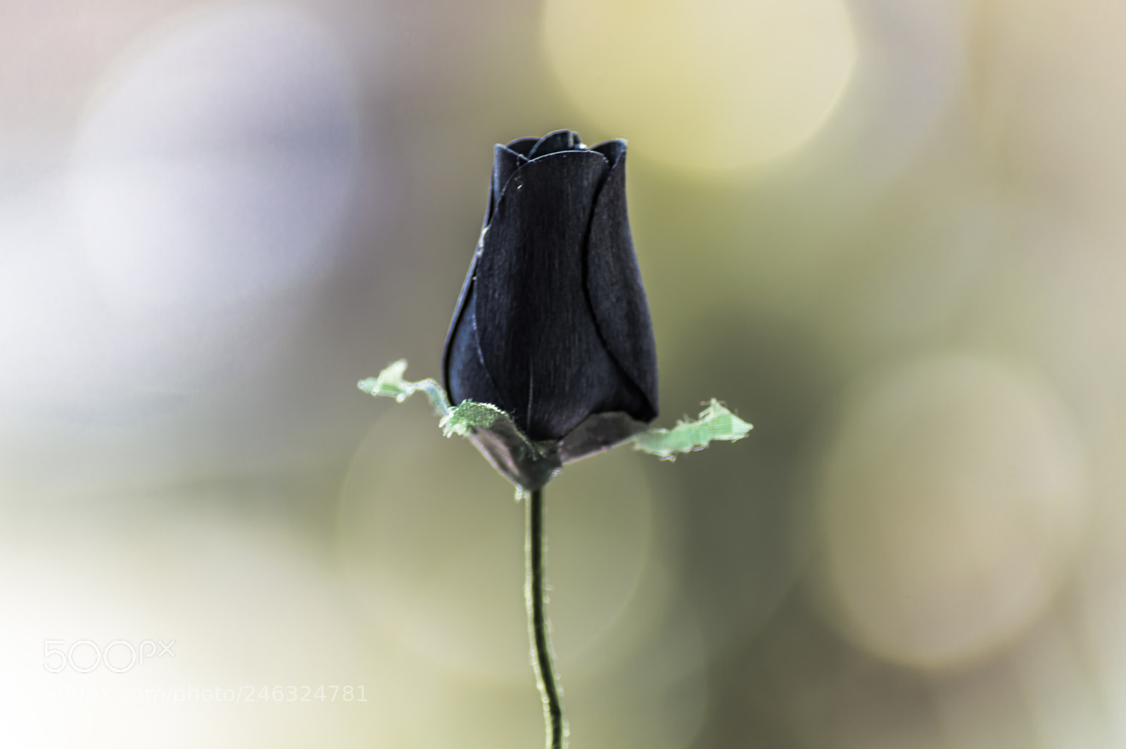 Nikon D3200 sample photo. Flores photography