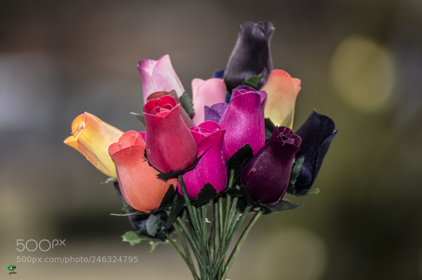 Nikon D3200 sample photo. Flores photography