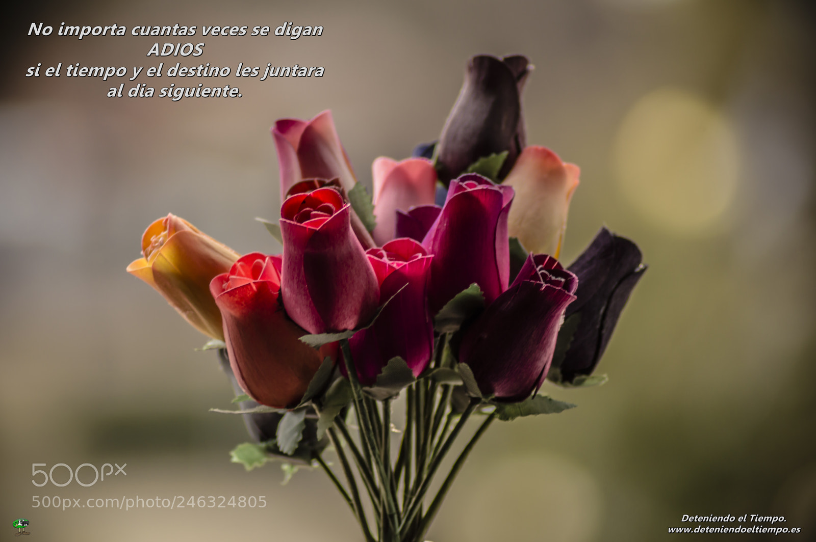 Nikon D3200 sample photo. Flores photography