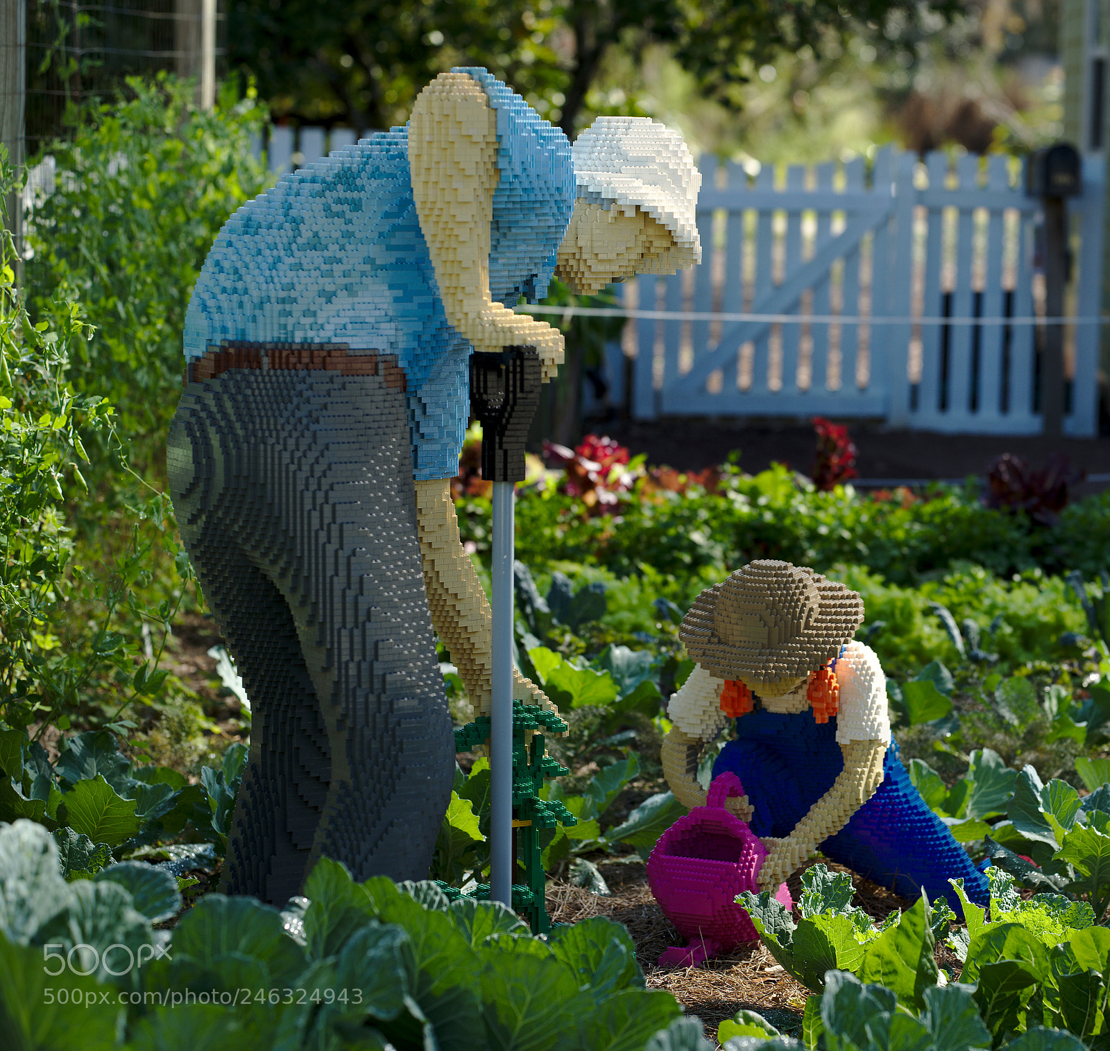 Nikon D810 sample photo. A lego man and photography