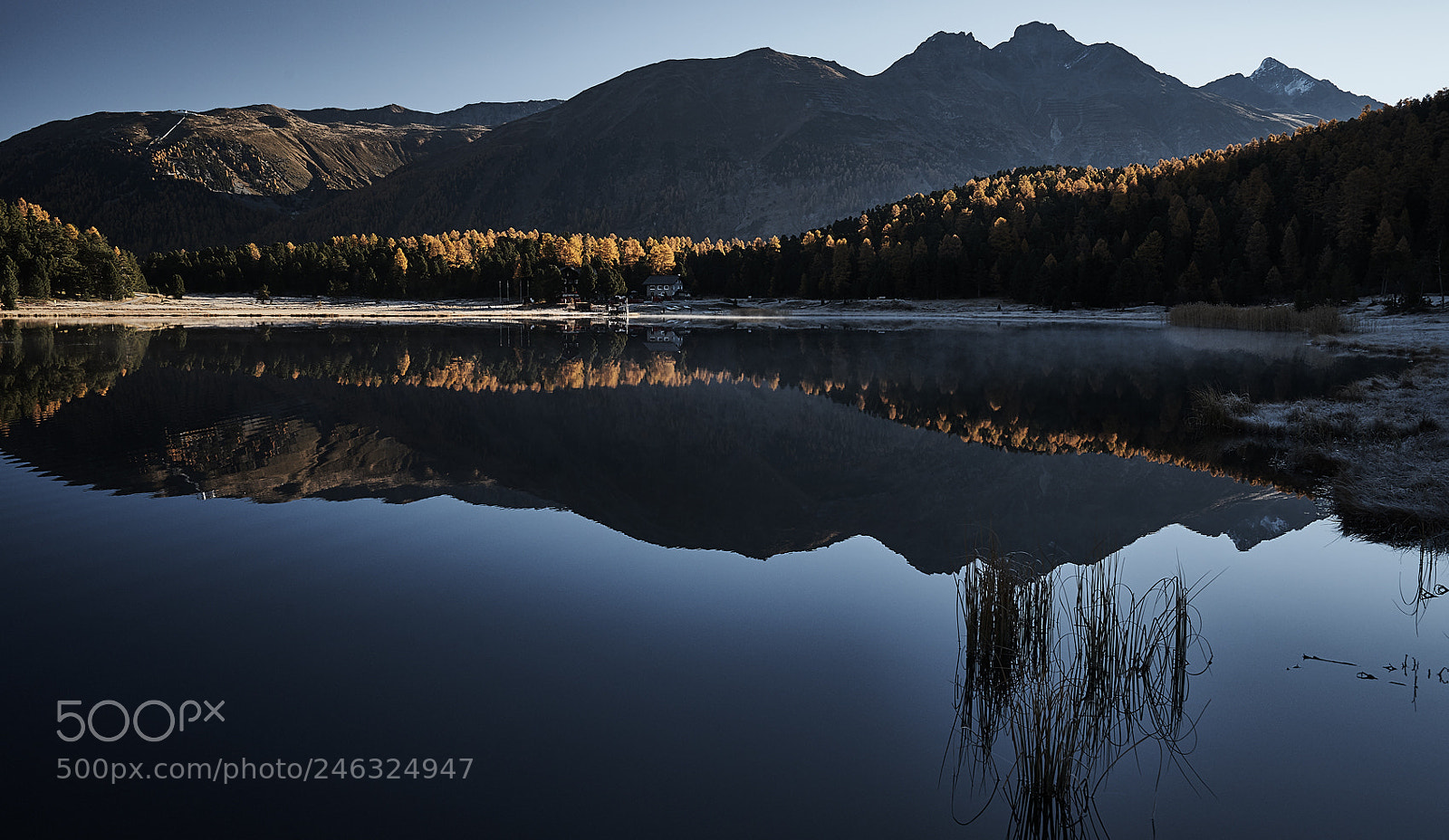 Sony a7 II sample photo. -lej da staz- photography