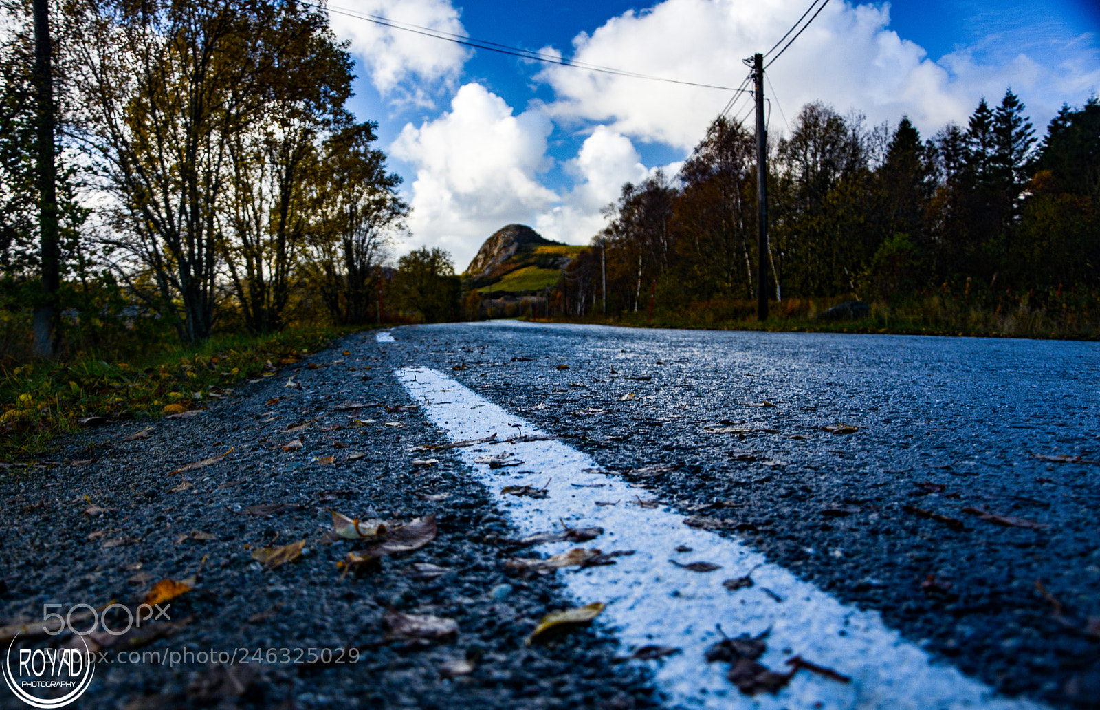 Nikon D7200 sample photo. Looking at this. i photography