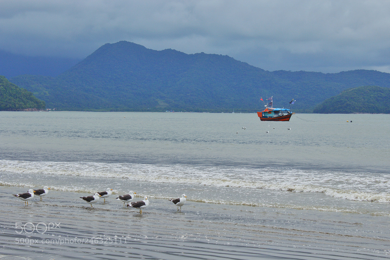 Canon EOS 1200D (EOS Rebel T5 / EOS Kiss X70 / EOS Hi) sample photo. Ainda contemplando photography