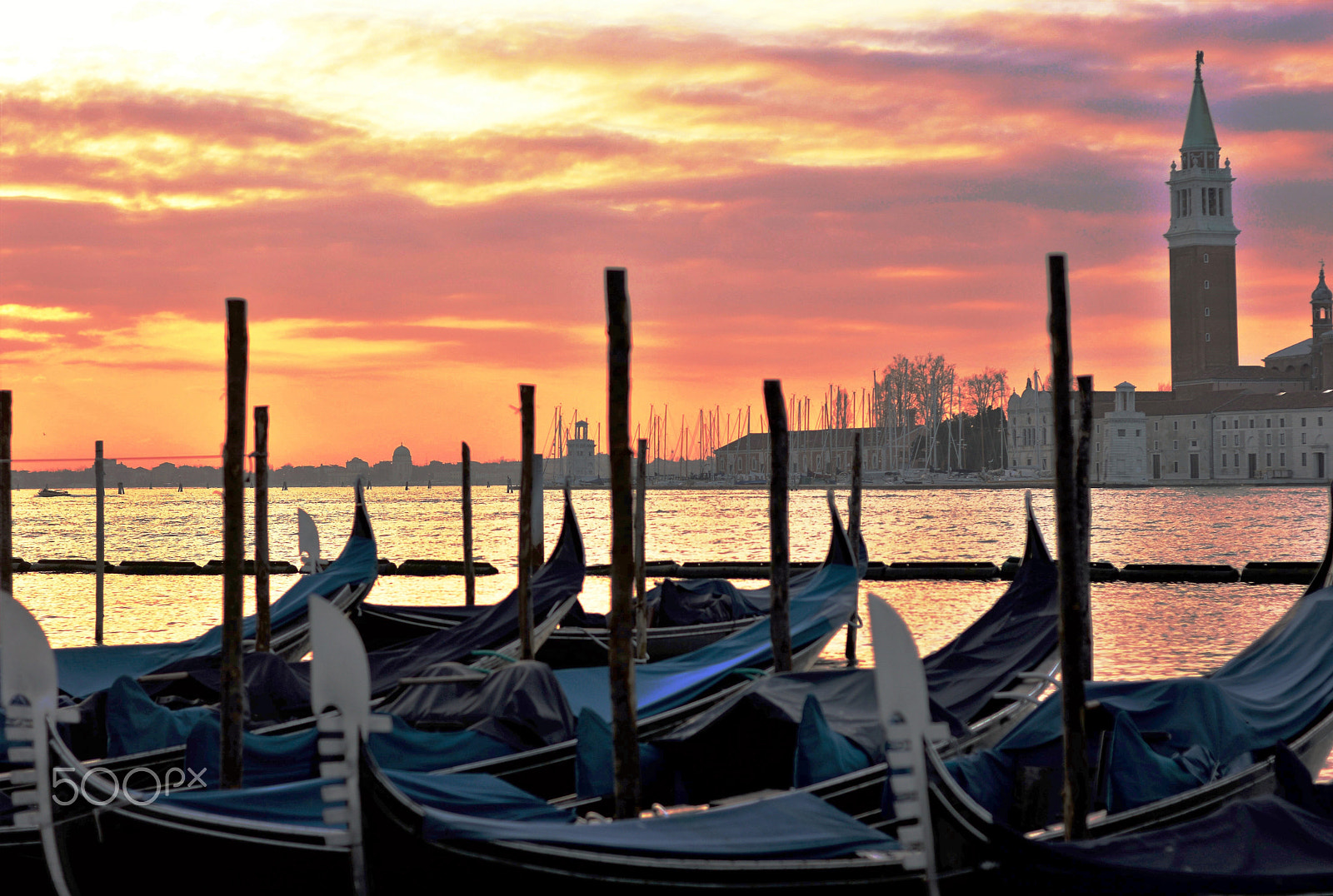 Nikon D3200 + Nikon AF Nikkor 50mm F1.8D sample photo. Glorious venice photography