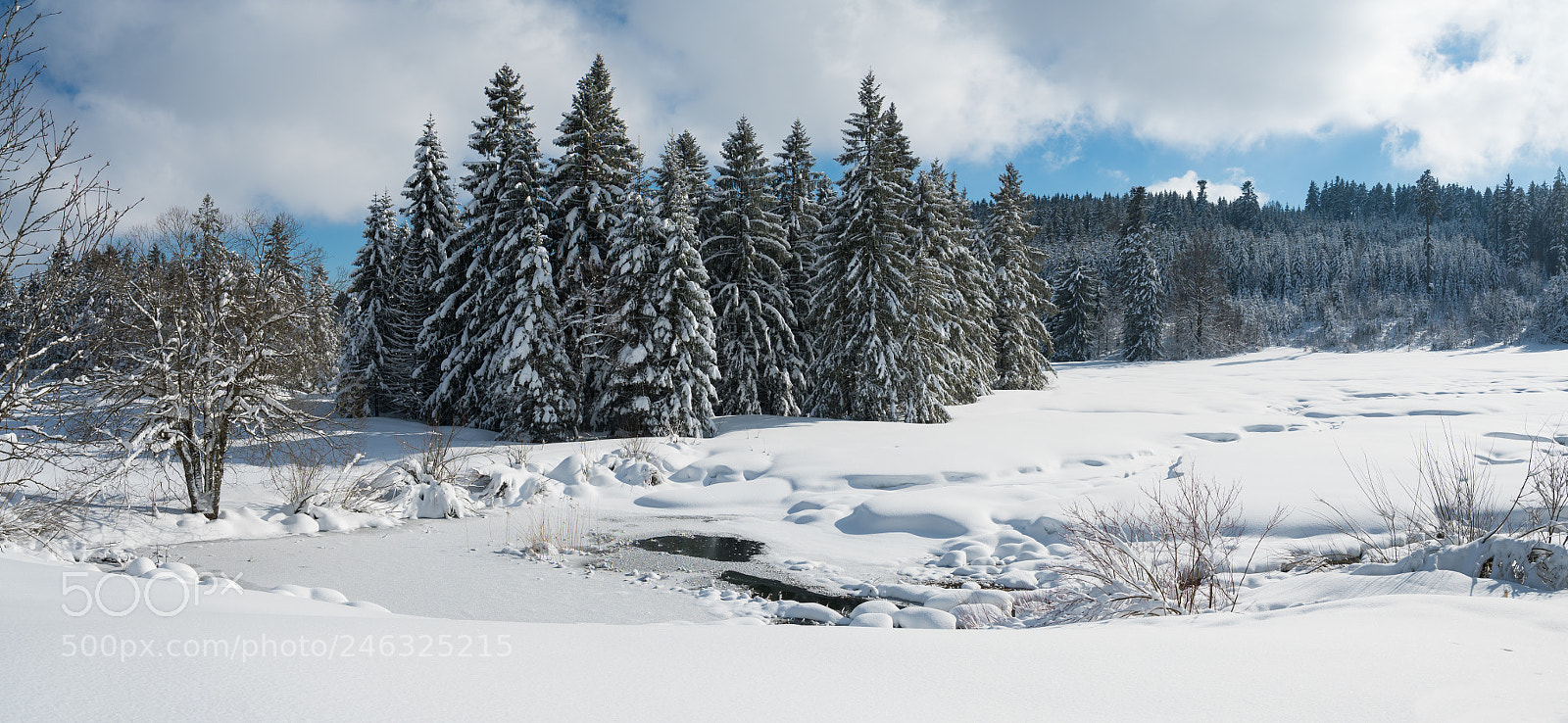 Sony a7R II sample photo. Winterwonderland photography