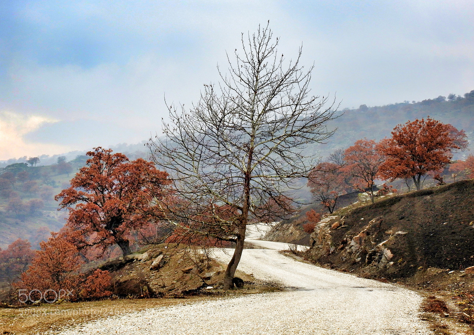 Nikon Coolpix P900 sample photo. Fall - sonbahar photography