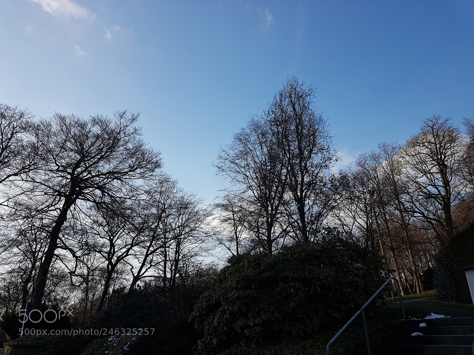 Samsung Galaxy S7 sample photo. Untitled photography