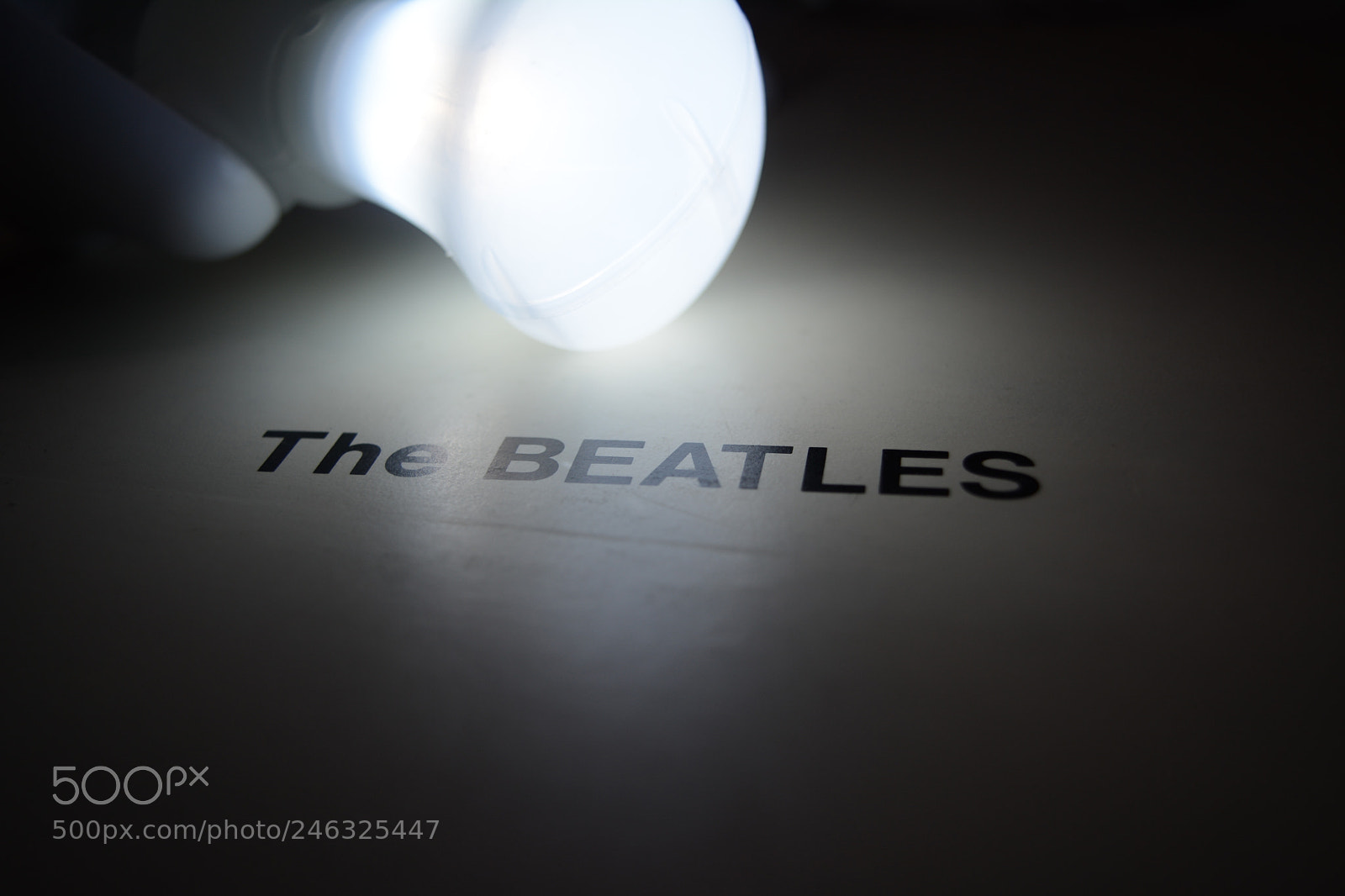 Nikon D5200 sample photo. Beatles lighten up the photography
