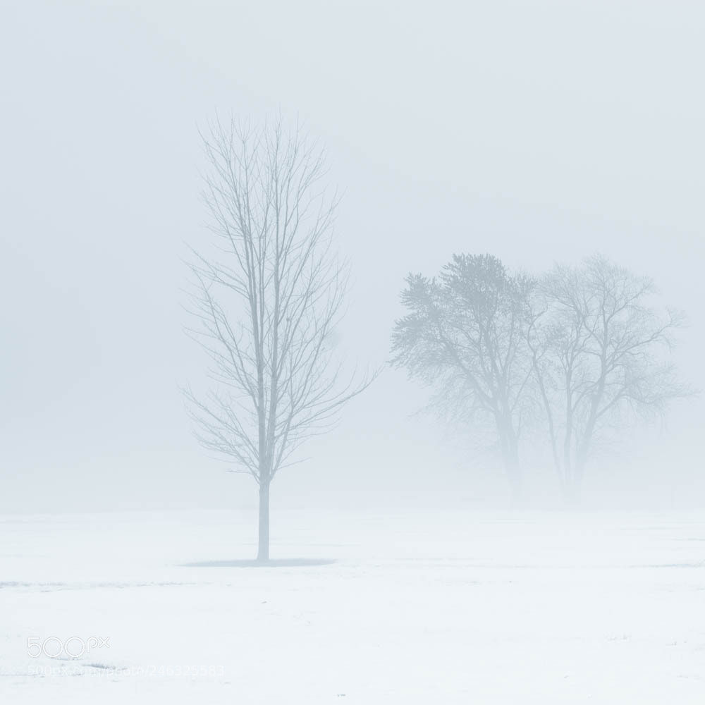 Nikon D7100 sample photo. Minimalist #1 photography