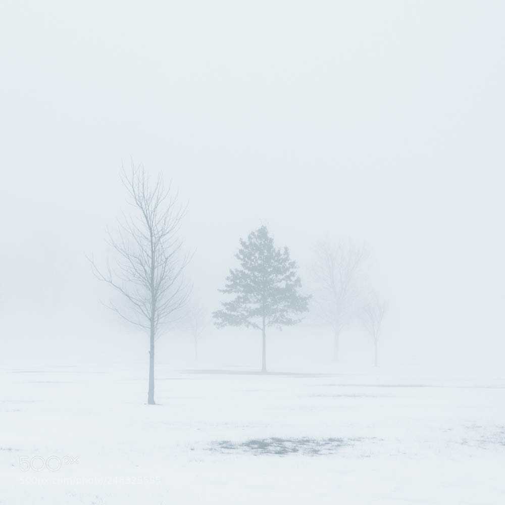 Nikon D7100 sample photo. Minimalist #2 photography