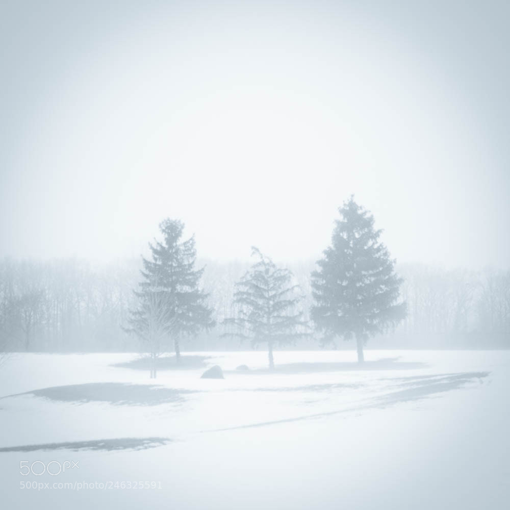 Nikon D7100 sample photo. Minimalist #3 photography