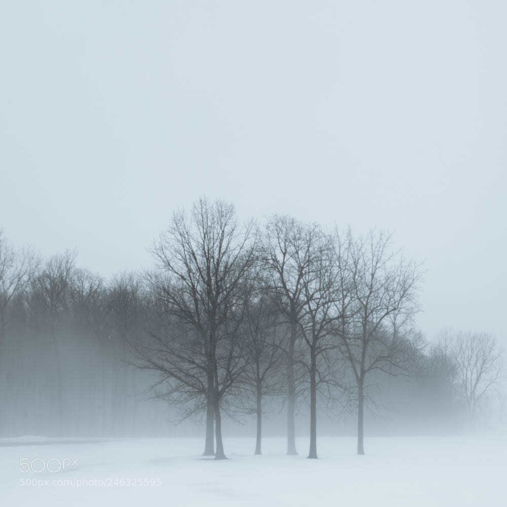 Nikon D7100 sample photo. Minimalist #6 photography
