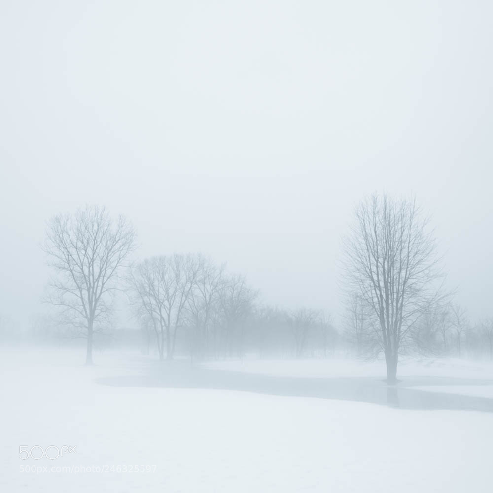 Nikon D7100 sample photo. Minimalist #5 photography