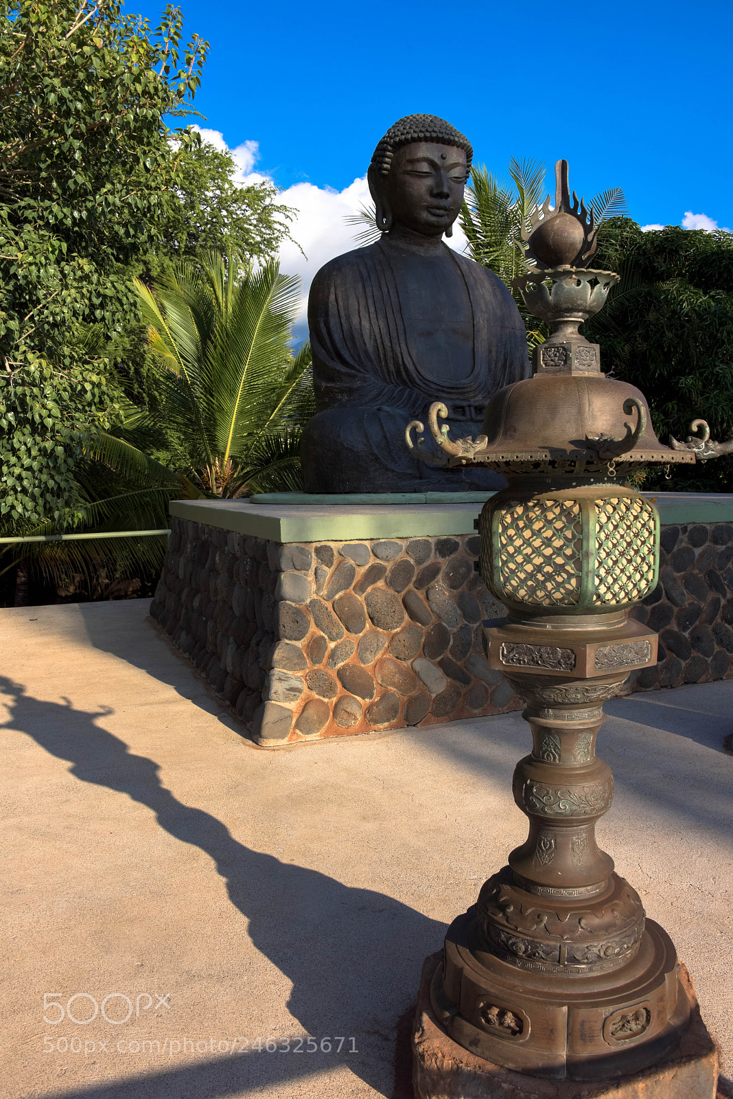 Nikon D810 sample photo. Zen time! photography