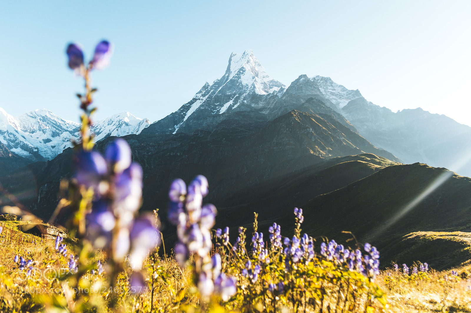 Nikon D3200 sample photo. Sacred machapuchare 6993m photography