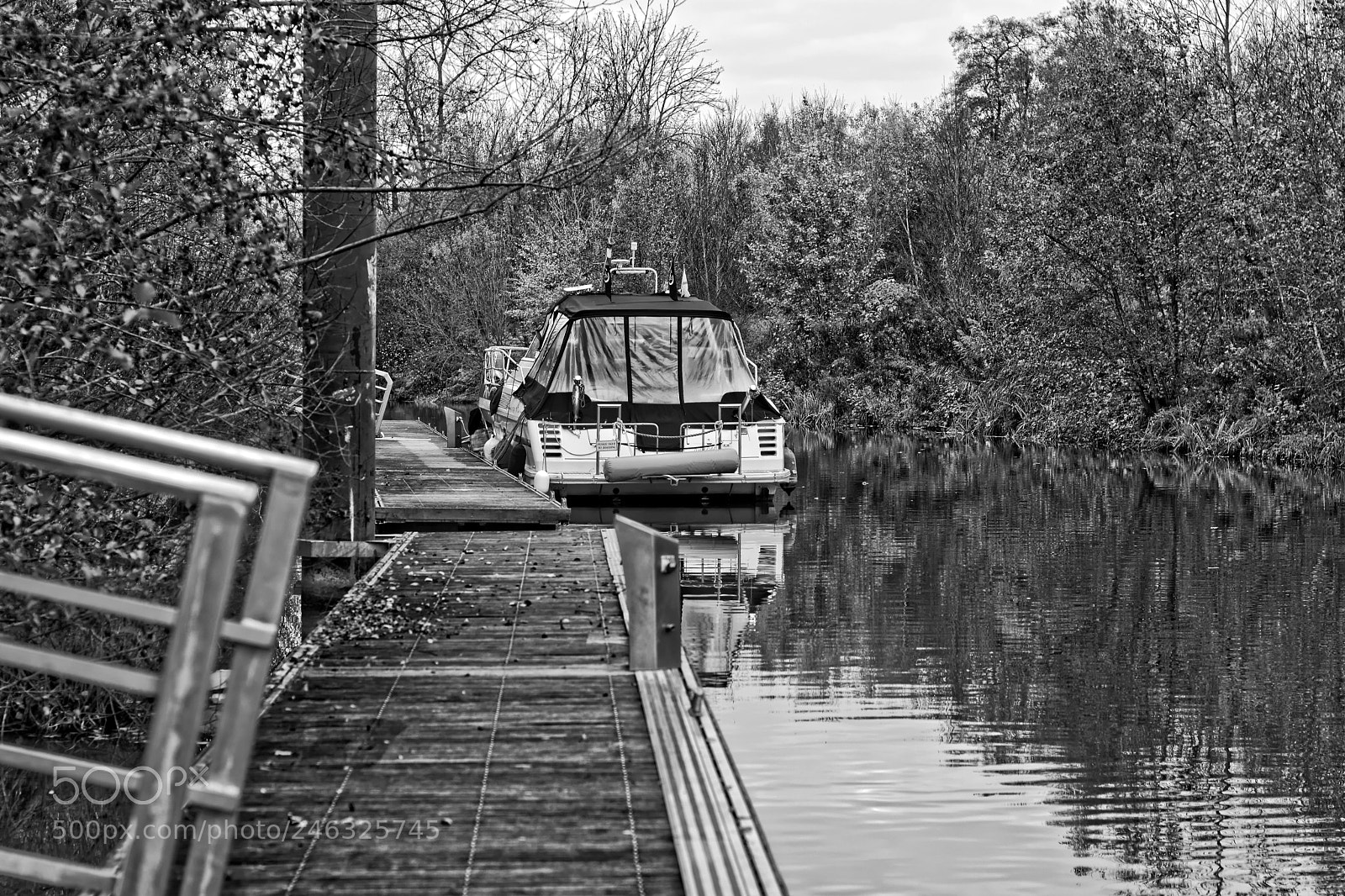 Nikon D7100 sample photo. Untitled photography