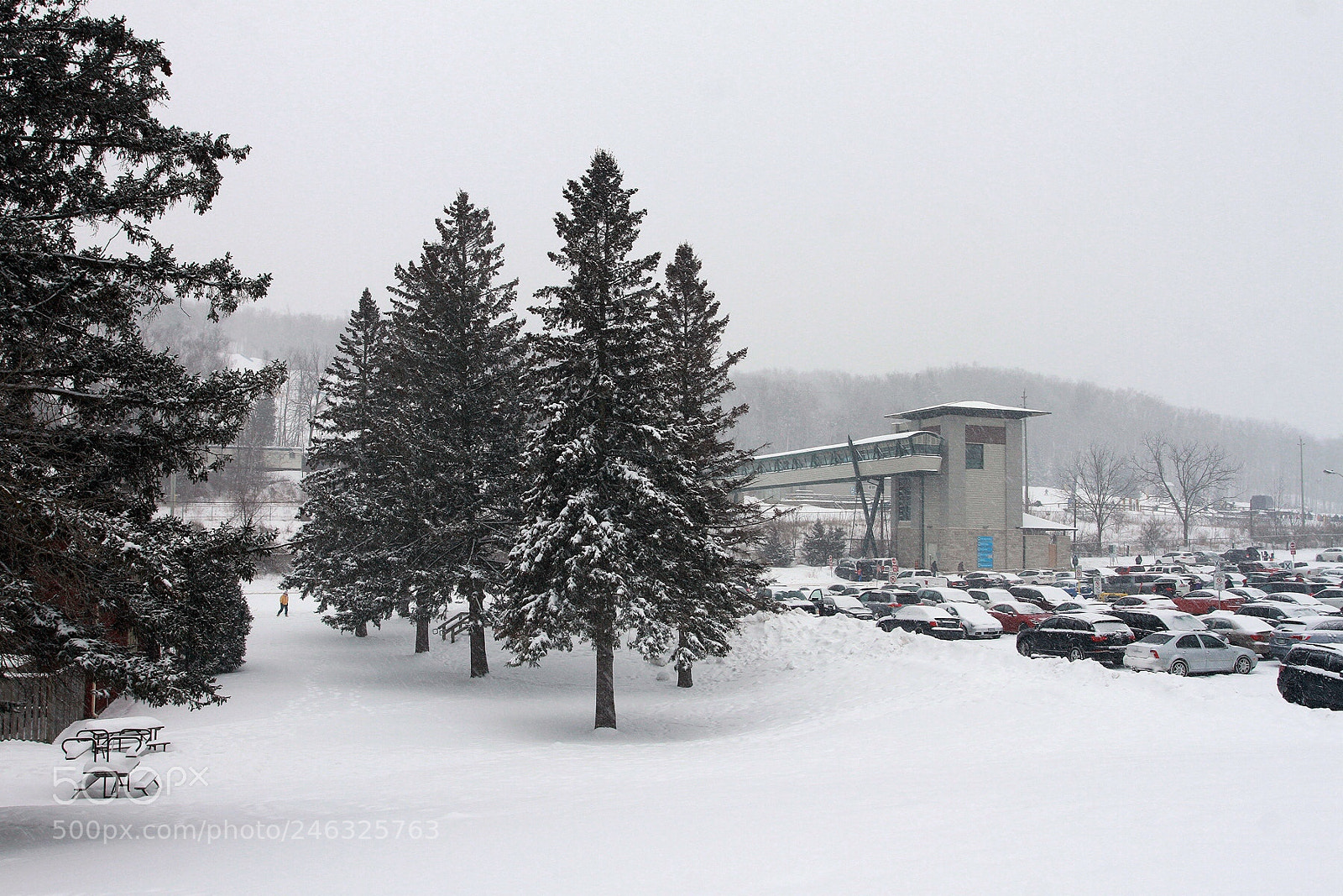Canon EOS 7D sample photo. Winter at kelso lake photography