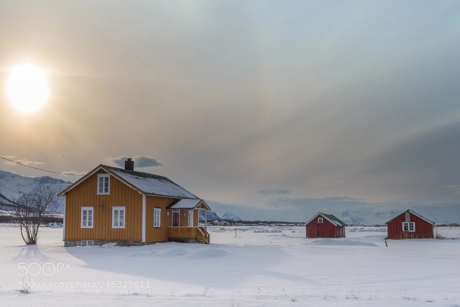 Nikon D610 sample photo. Vesteralen photography