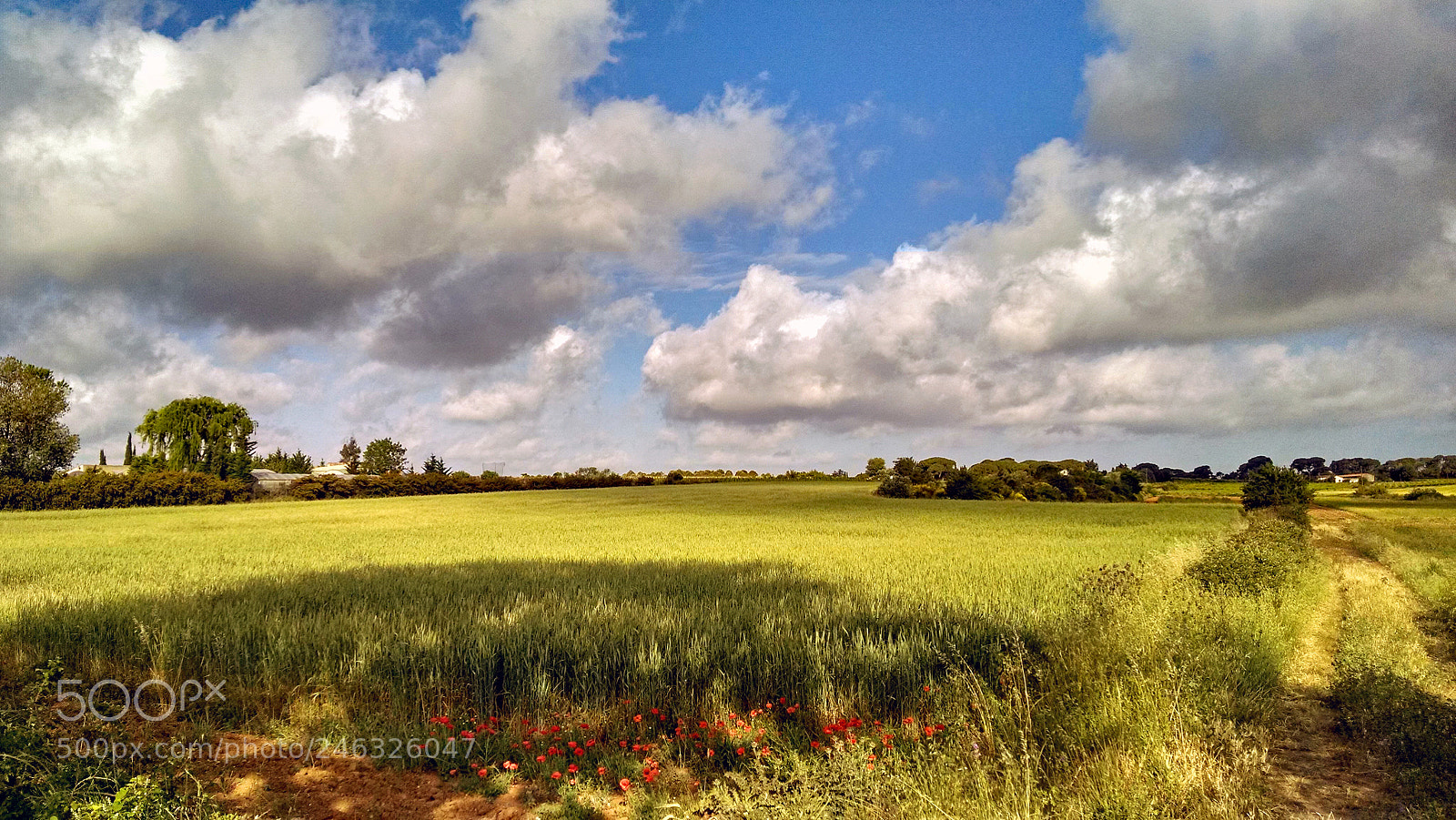 Motorola Moto X (1st Gen) sample photo. Campagne de l h photography