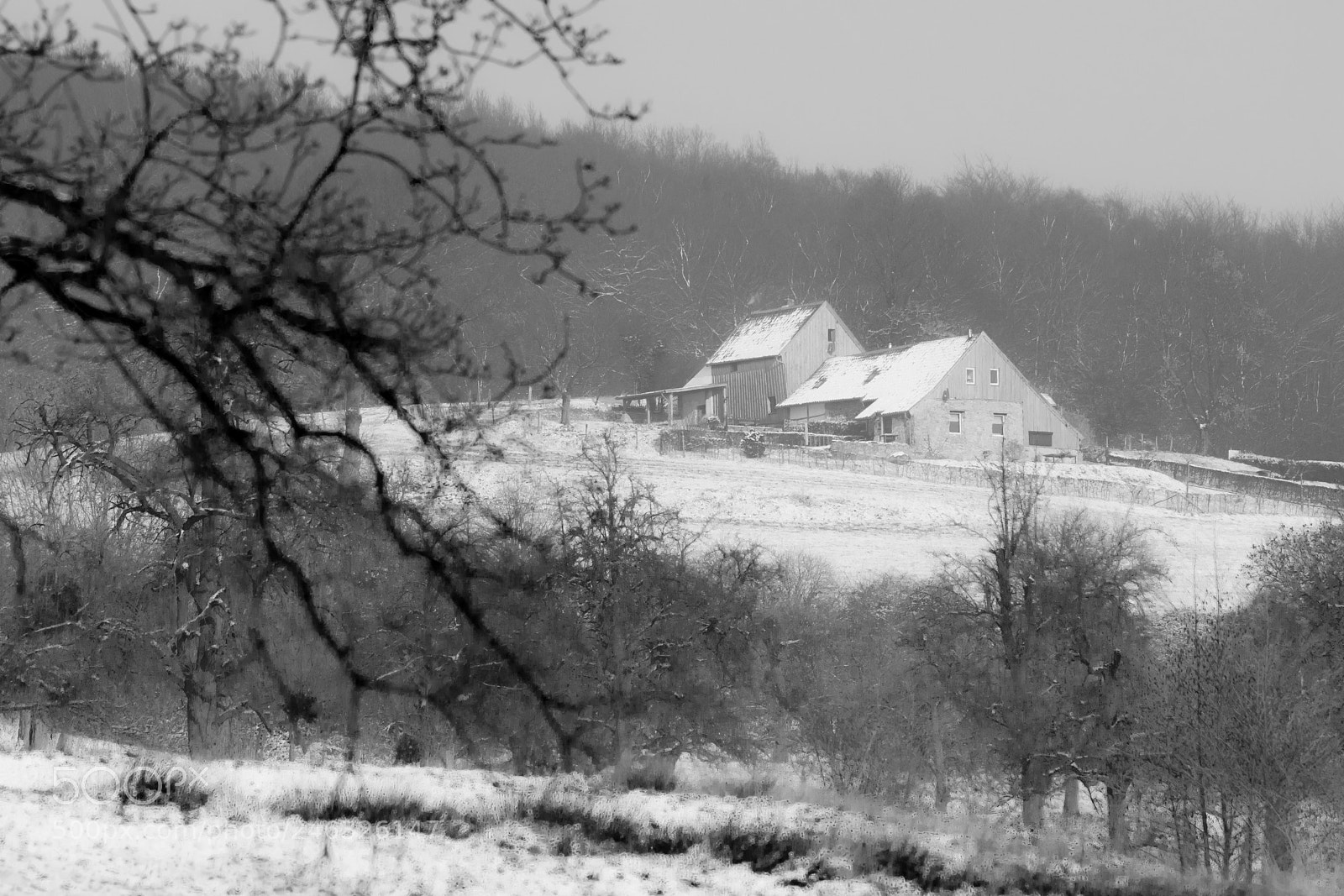 Nikon D7200 sample photo. The house on the photography