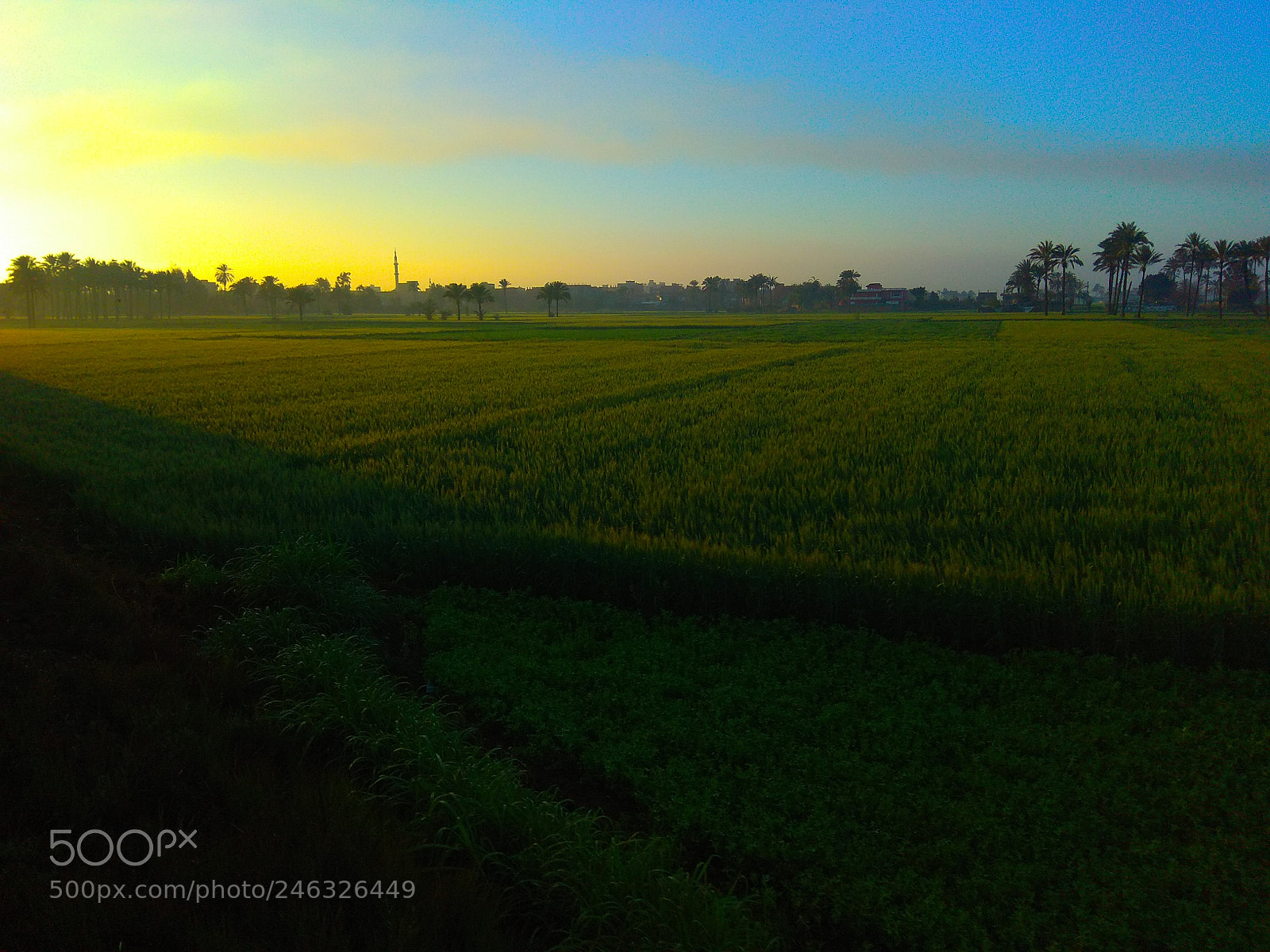 Xiaomi Redmi Note 4 sample photo. Untitled photography