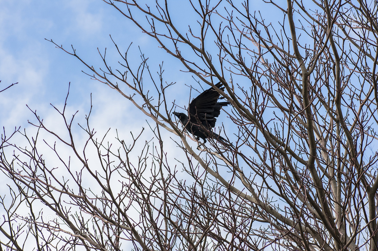 Nikon D3400 sample photo. Taking off to explore photography