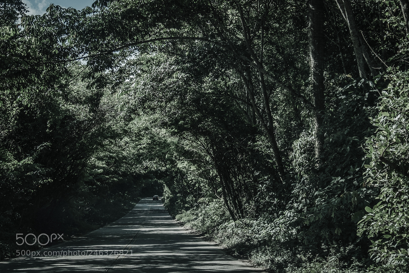 Fujifilm X-T2 sample photo. Tunnel photography
