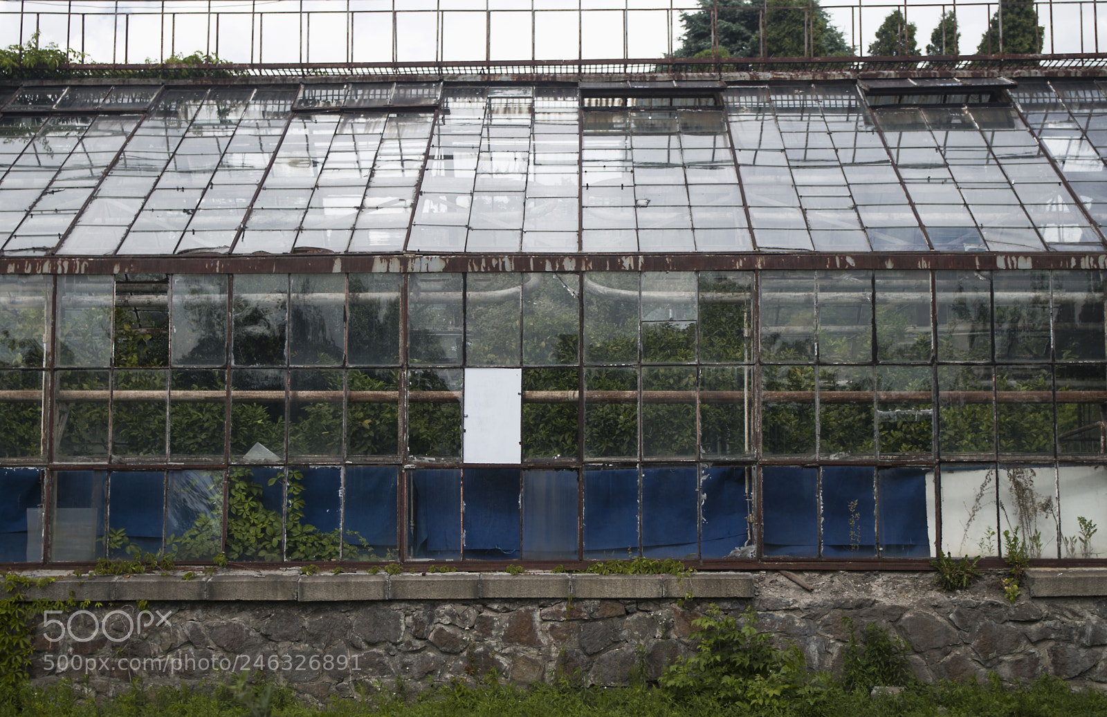 Pentax K-30 sample photo. Old greenhouse photography