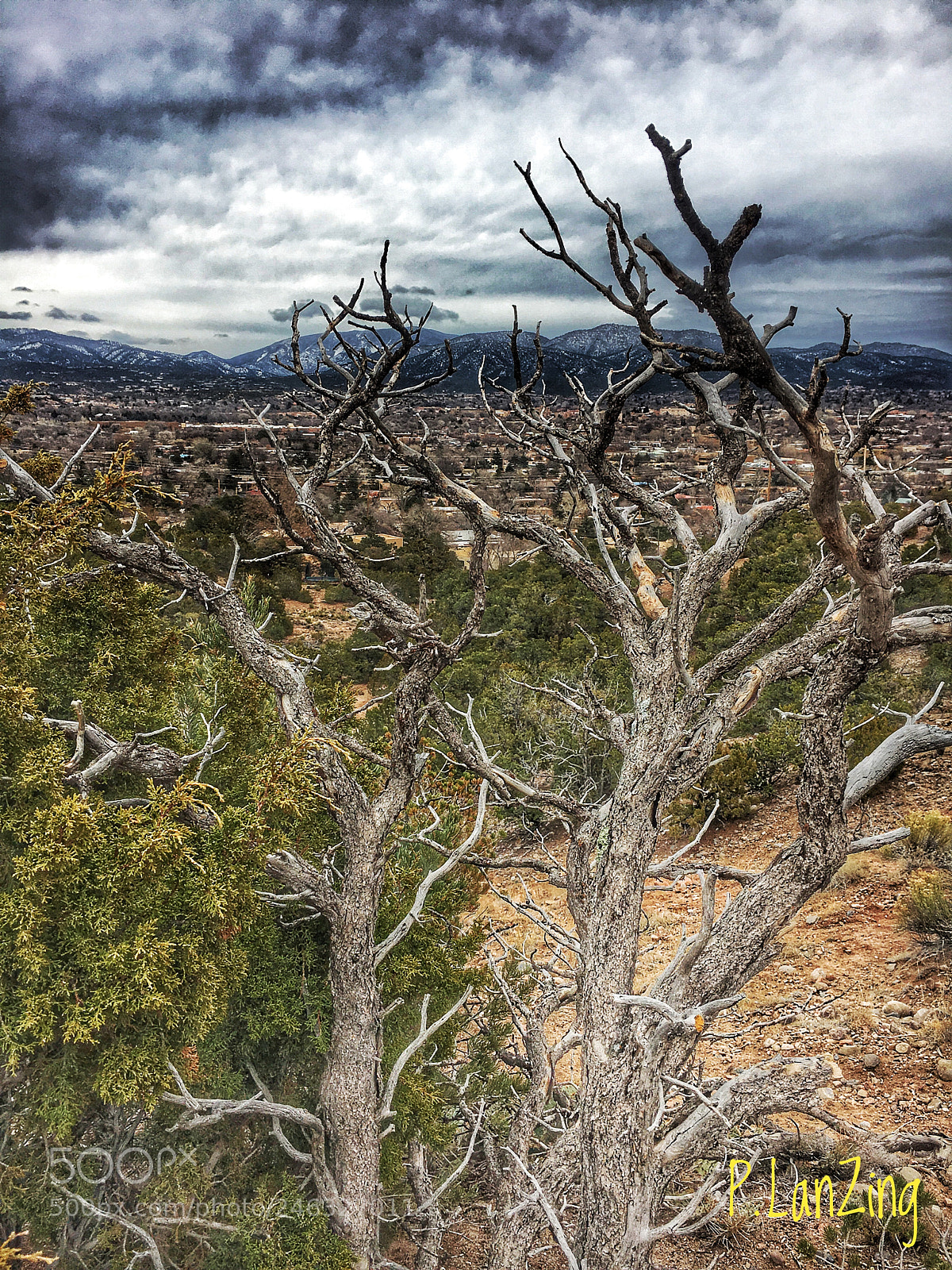 Apple iPhone 6s sample photo. Twisted pi on, above photography