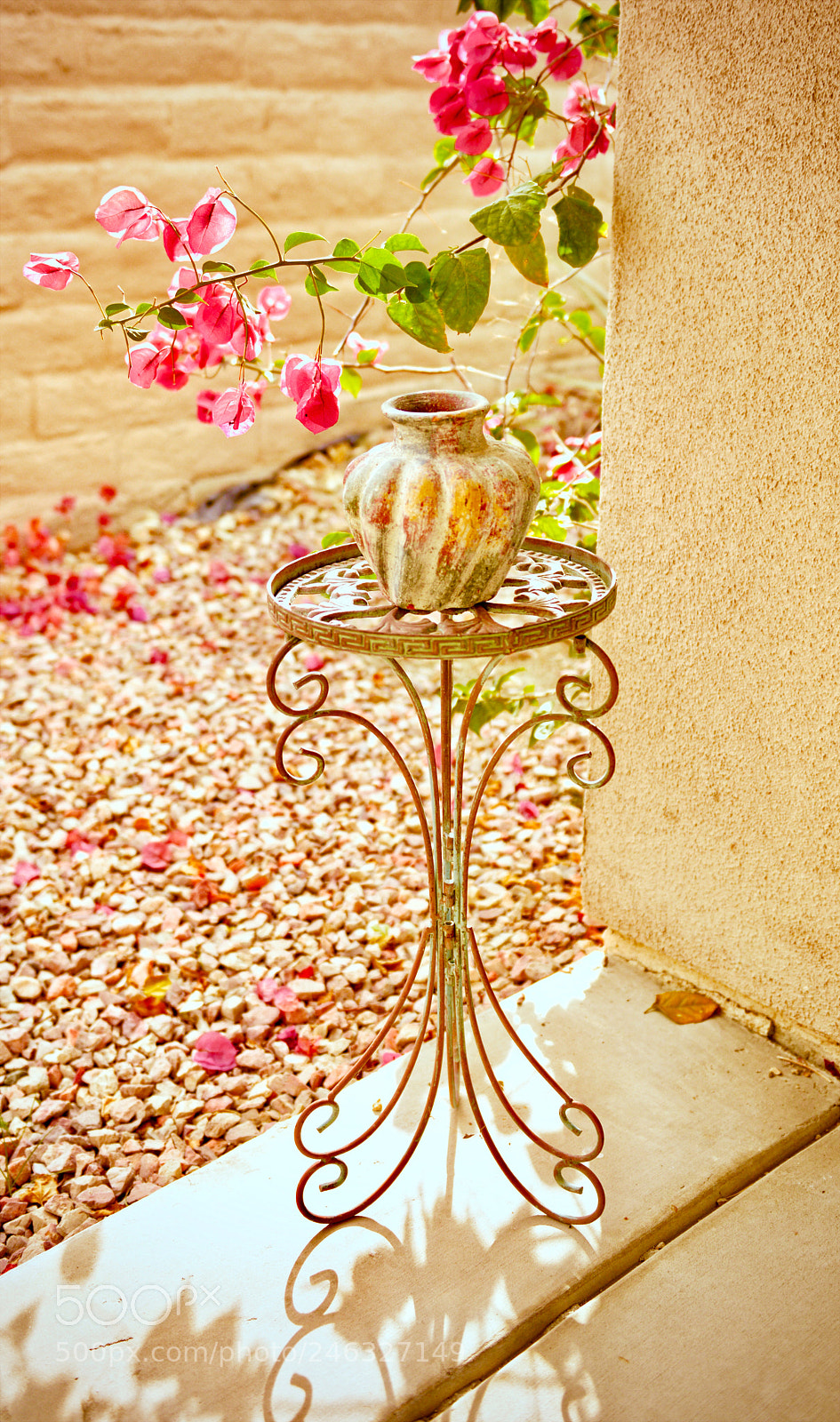 Nikon D800 sample photo. Corner of the garden photography