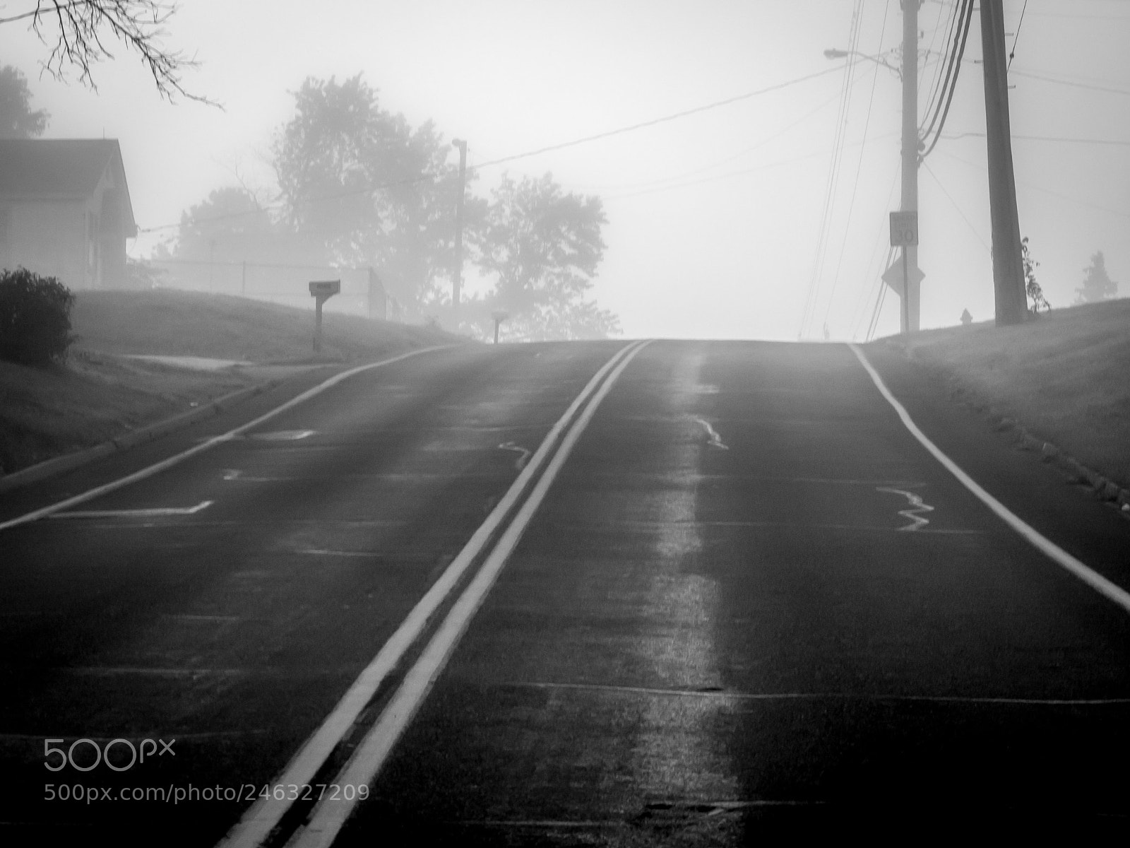 Olympus OM-D E-M5 sample photo. Foggy,foggy morning photography
