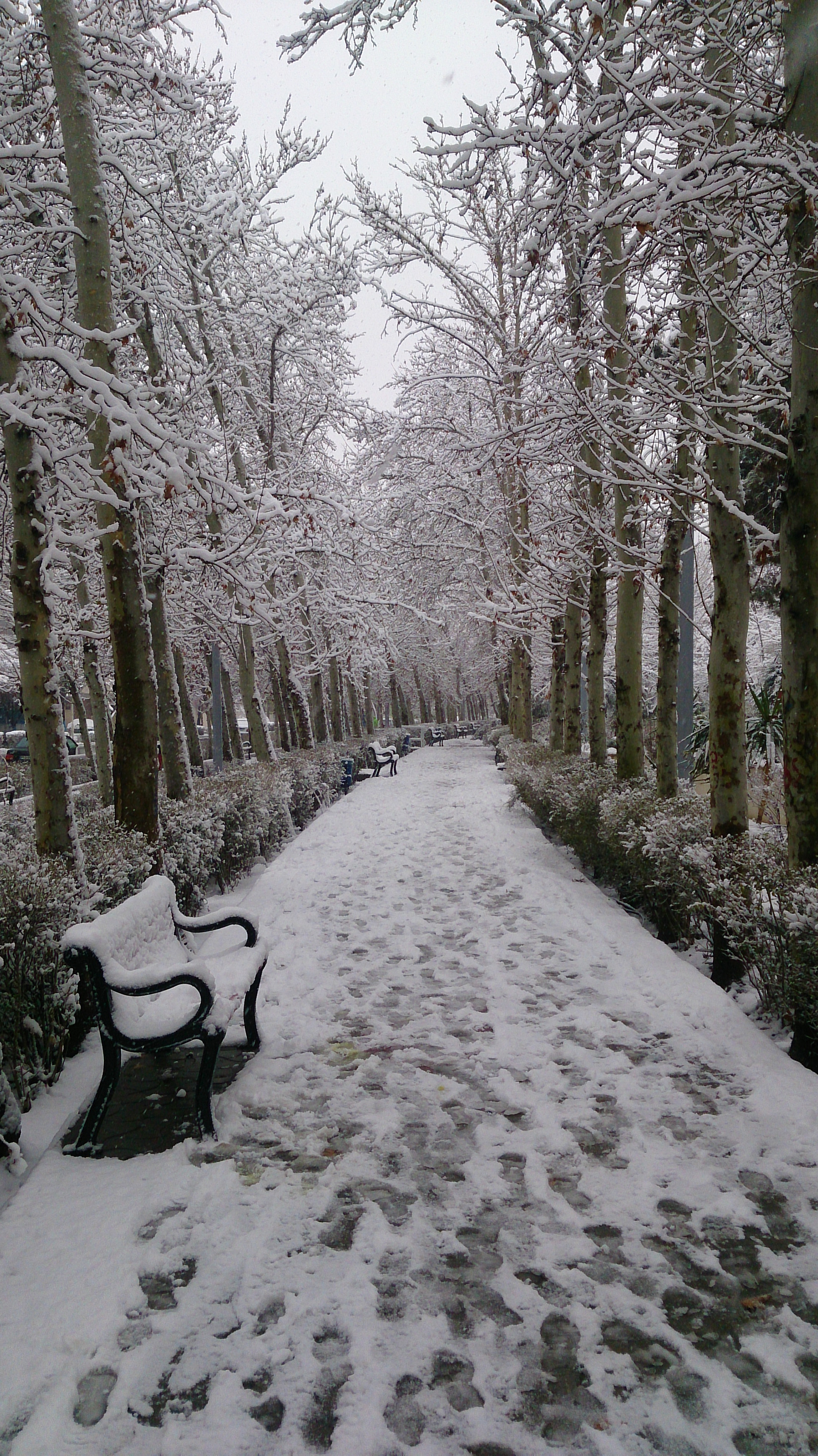 Sony Xperia Z sample photo. Snow way photography
