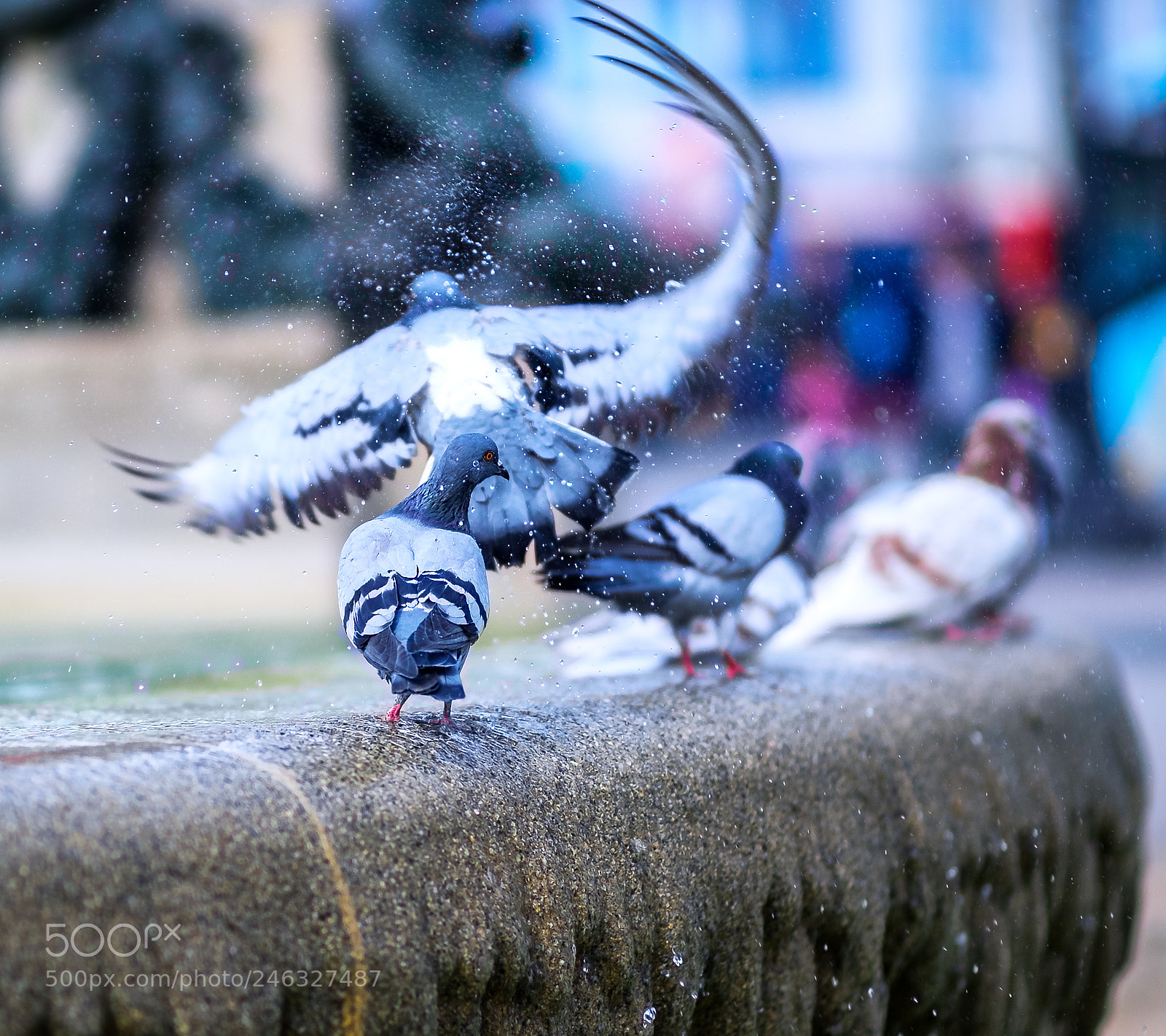 Fujifilm X-T10 sample photo. Any given day photography