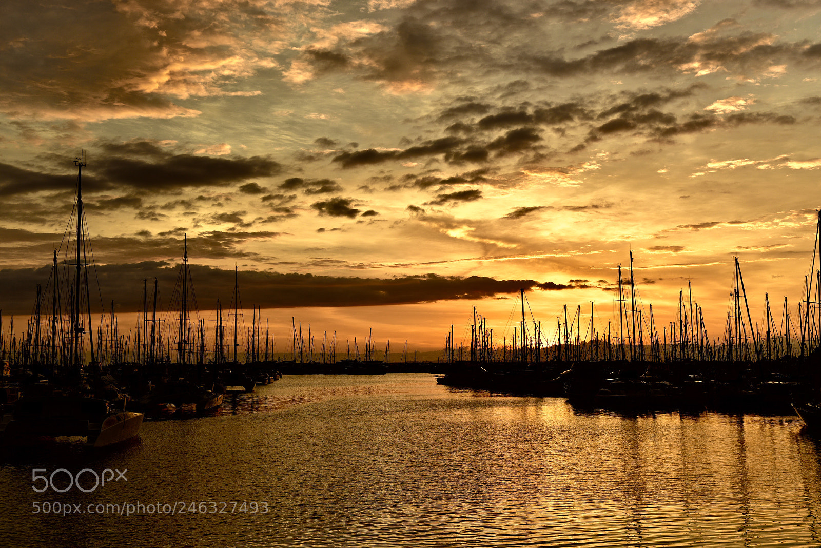Nikon D810 sample photo. Sunrise: sea and sky photography